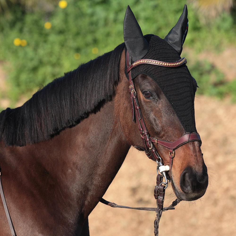 Ушки GRAND PRIX чёрный