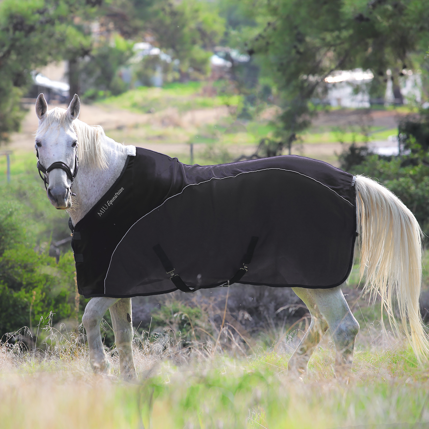 Недоуздок AIR MAX чёрный