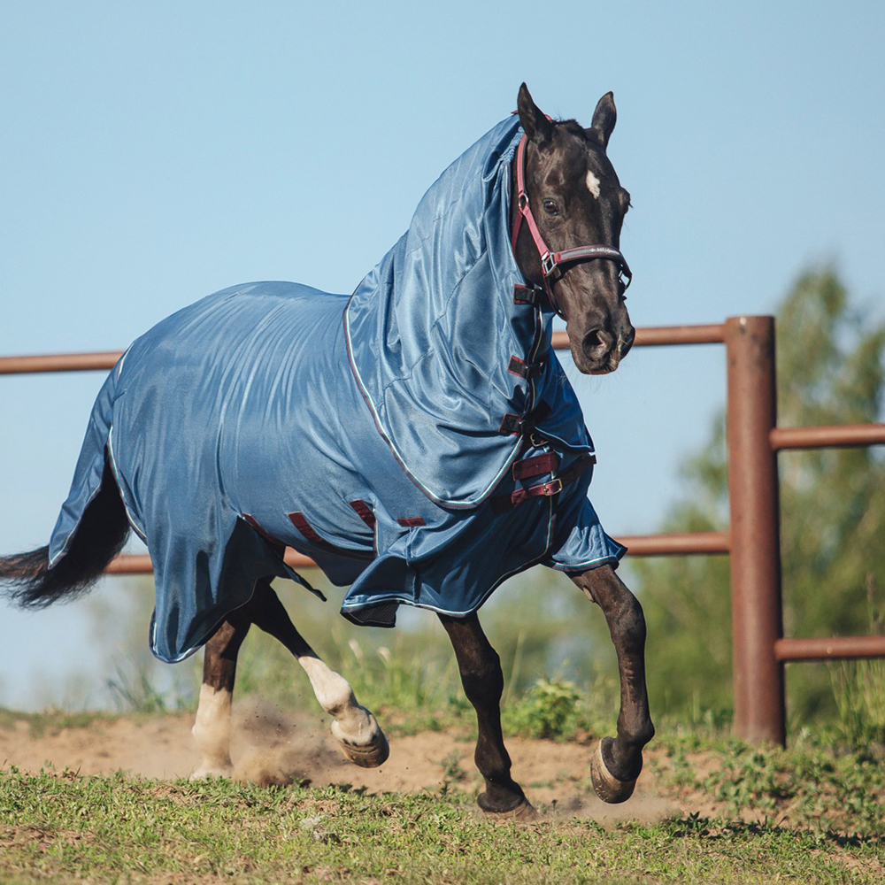 Попона антимоскитная со съемным капором MIU Equestrian Armor