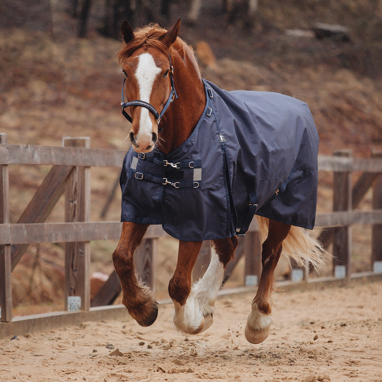 Попона прогулочная дождевая X-Strong Fleece синий