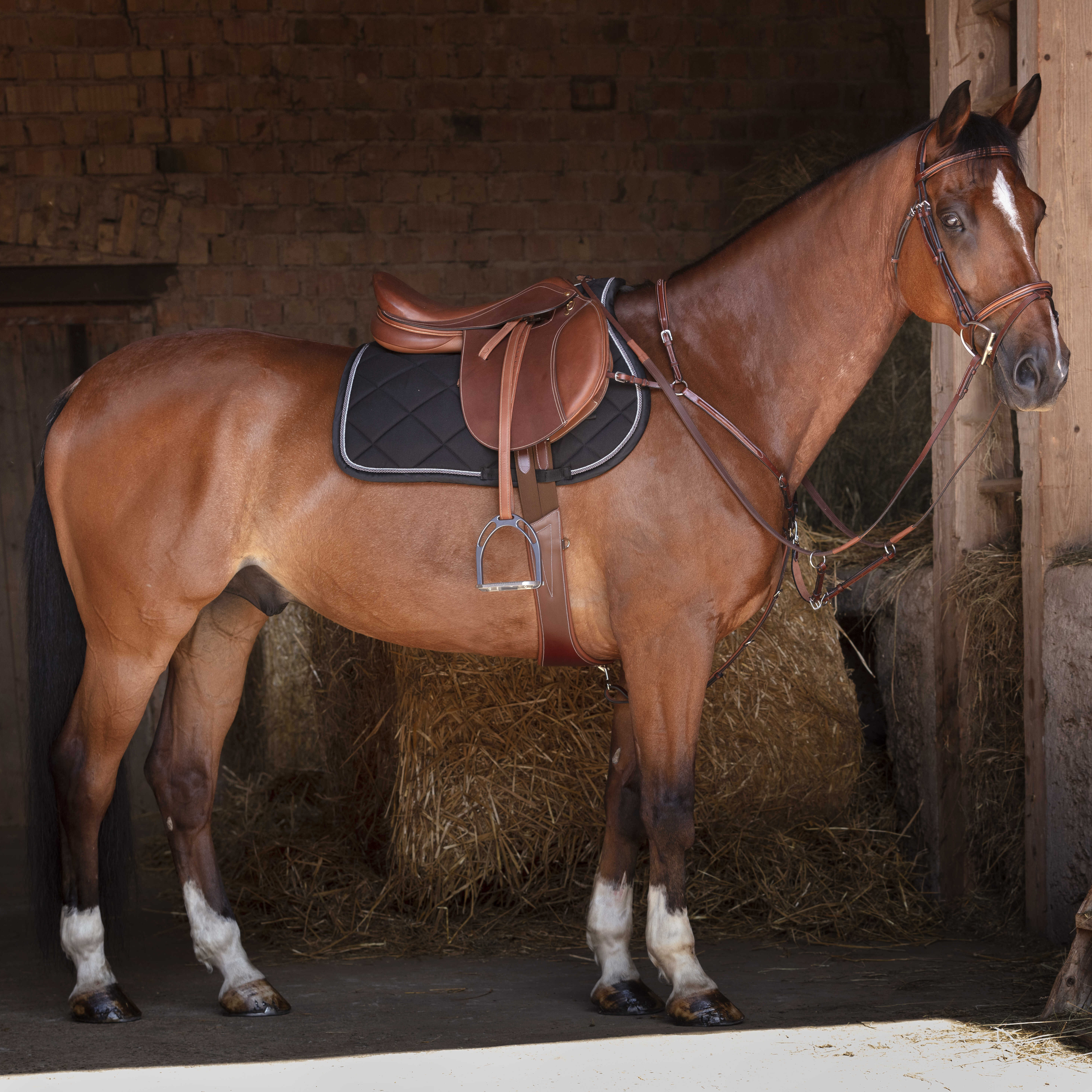 Подпруга анатомическая HYBRID кожаная чёрный