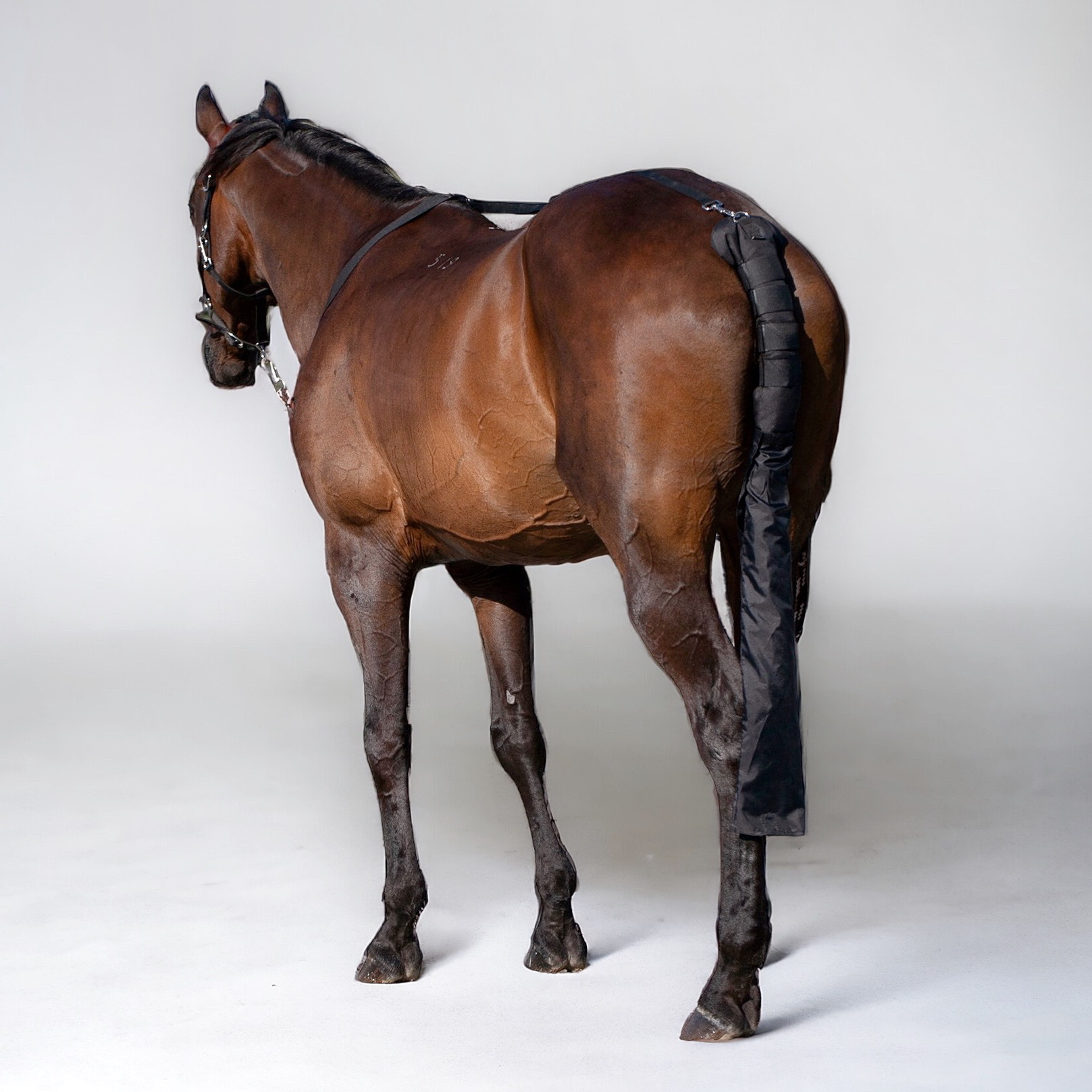 Нахвостник транспортировочный с чехлом для хвоста Tail Guarg with bag чёрный (один размер, 372034-10-один размер)