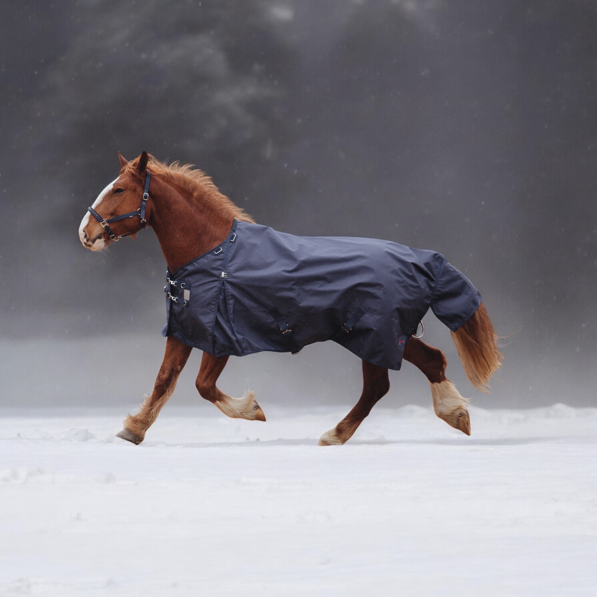 Попона прогулочная X-Strong 300 синий (135, 363101211-21-135)