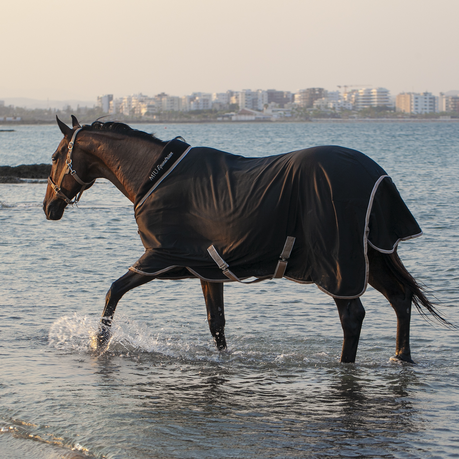 Попона денниковая GOLD MEDAL на вафельной подкладке чёрный
