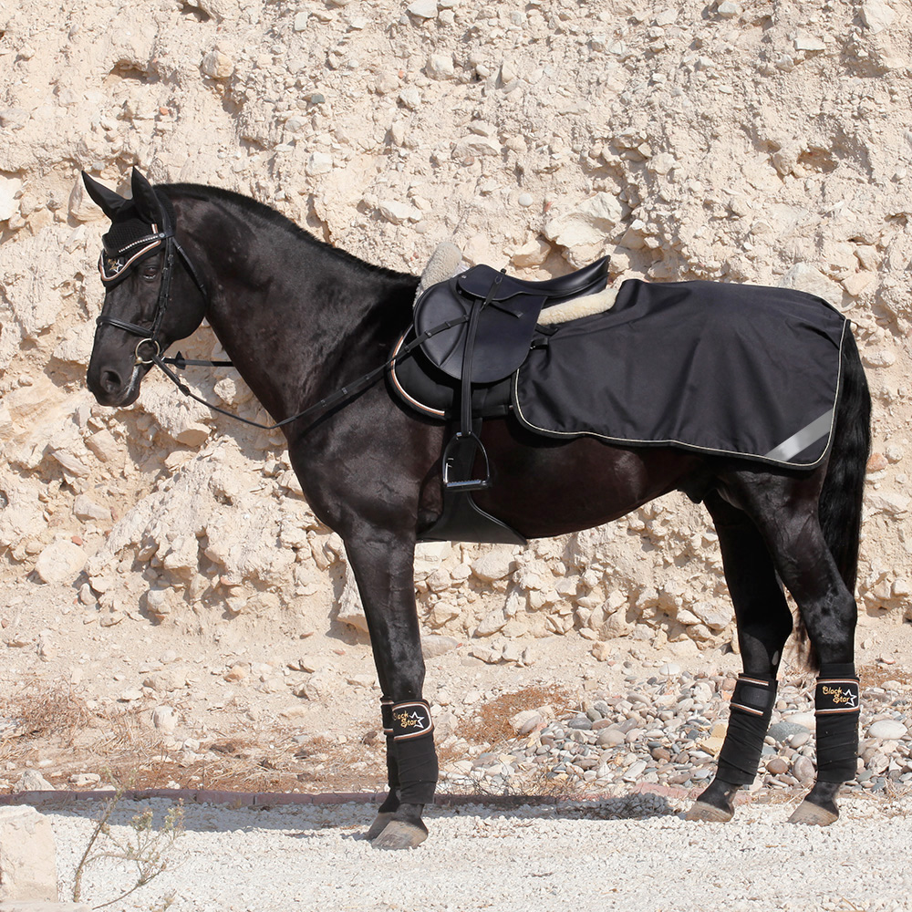 Полупопона RIDING на флисе чёрный