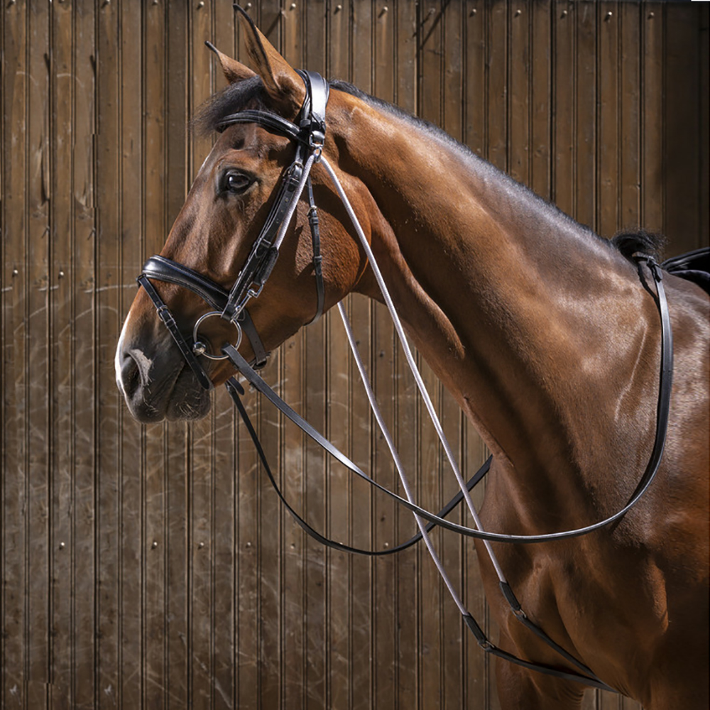 Шамбон чёрный