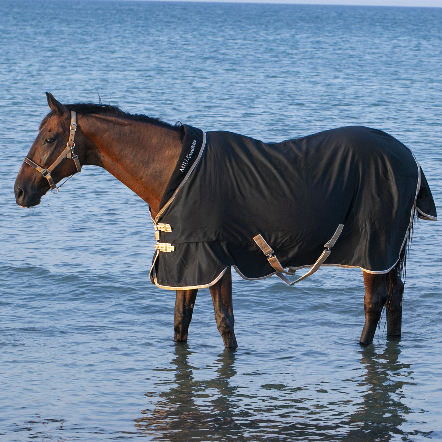 Попона денниковая GOLD MEDAL на вафельной подкладке чёрный (135, 366640-10-135)