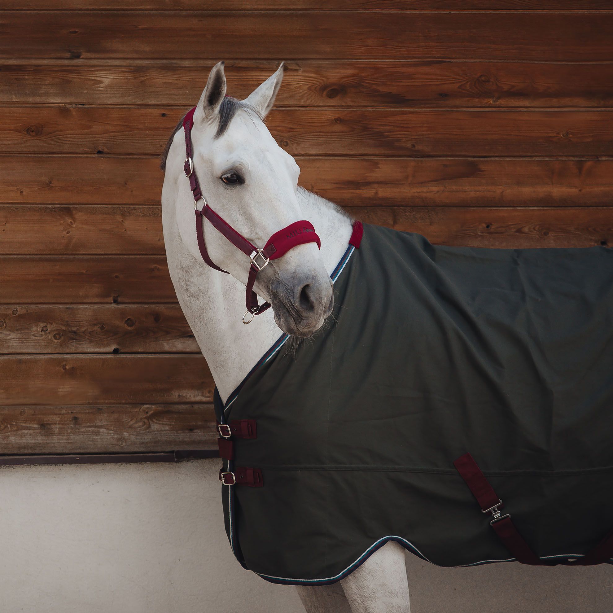 Недоуздок GENTLE HALTER бордо