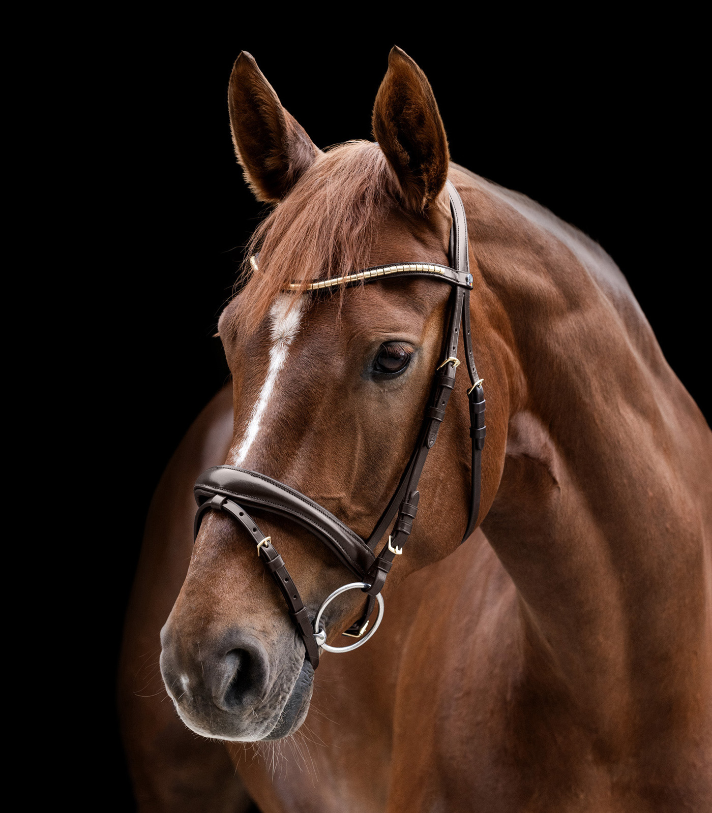 Уздечка X-Line Bridle Clincher коричневый Первая Конная Мануфактура