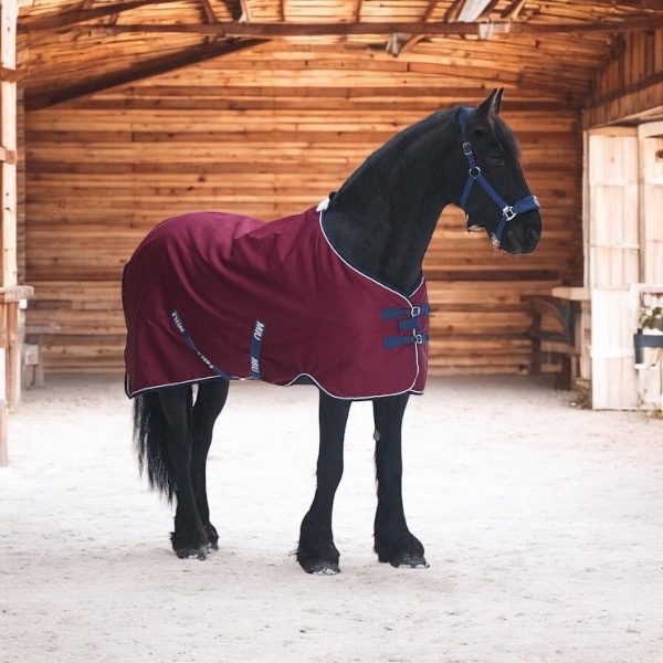 Попона шерстяная WOOL