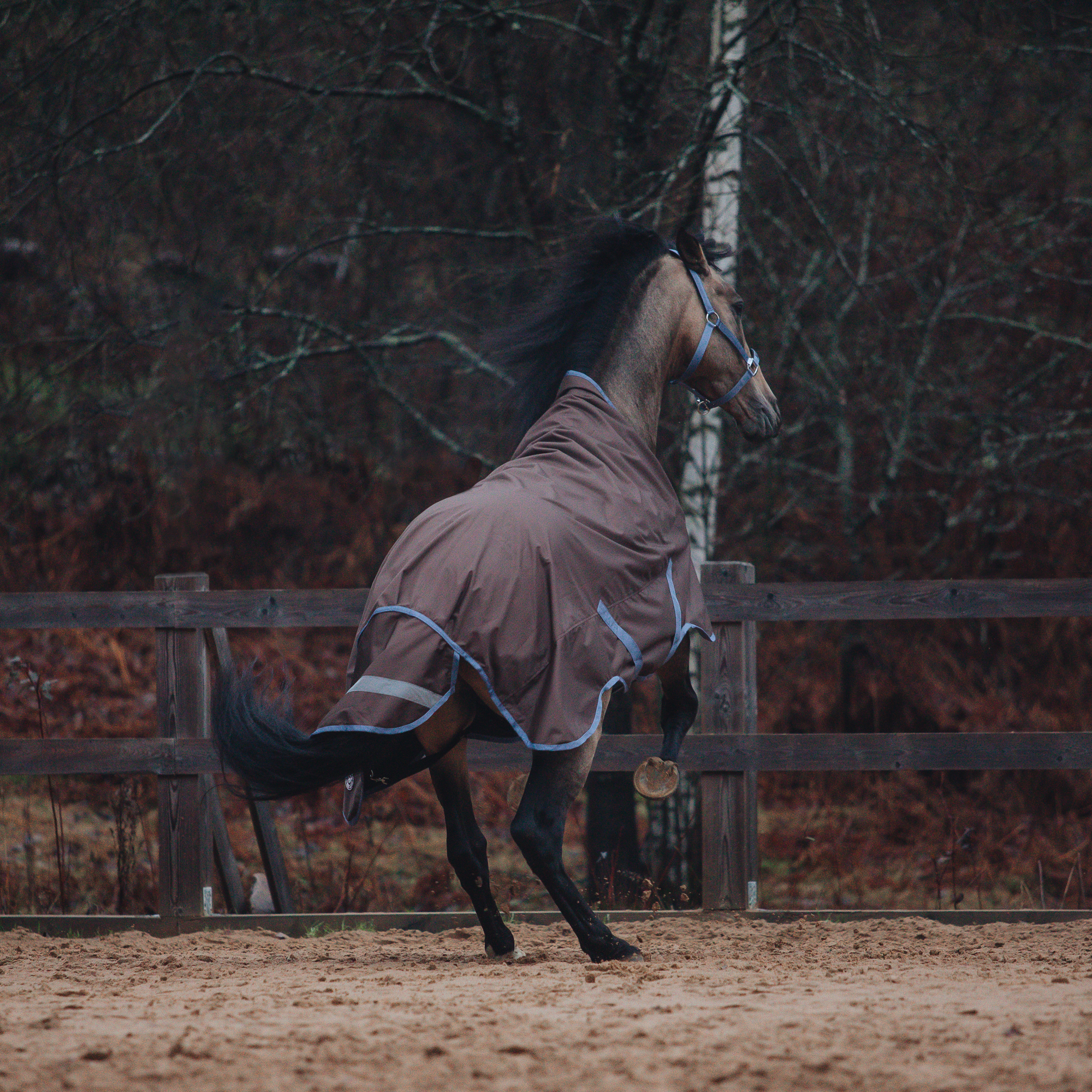 Попона прогулочная DENVER на флисе с высокой холкой коричневый