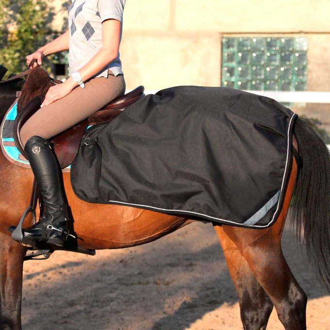 Полупопона RIDING на флисе чёрный