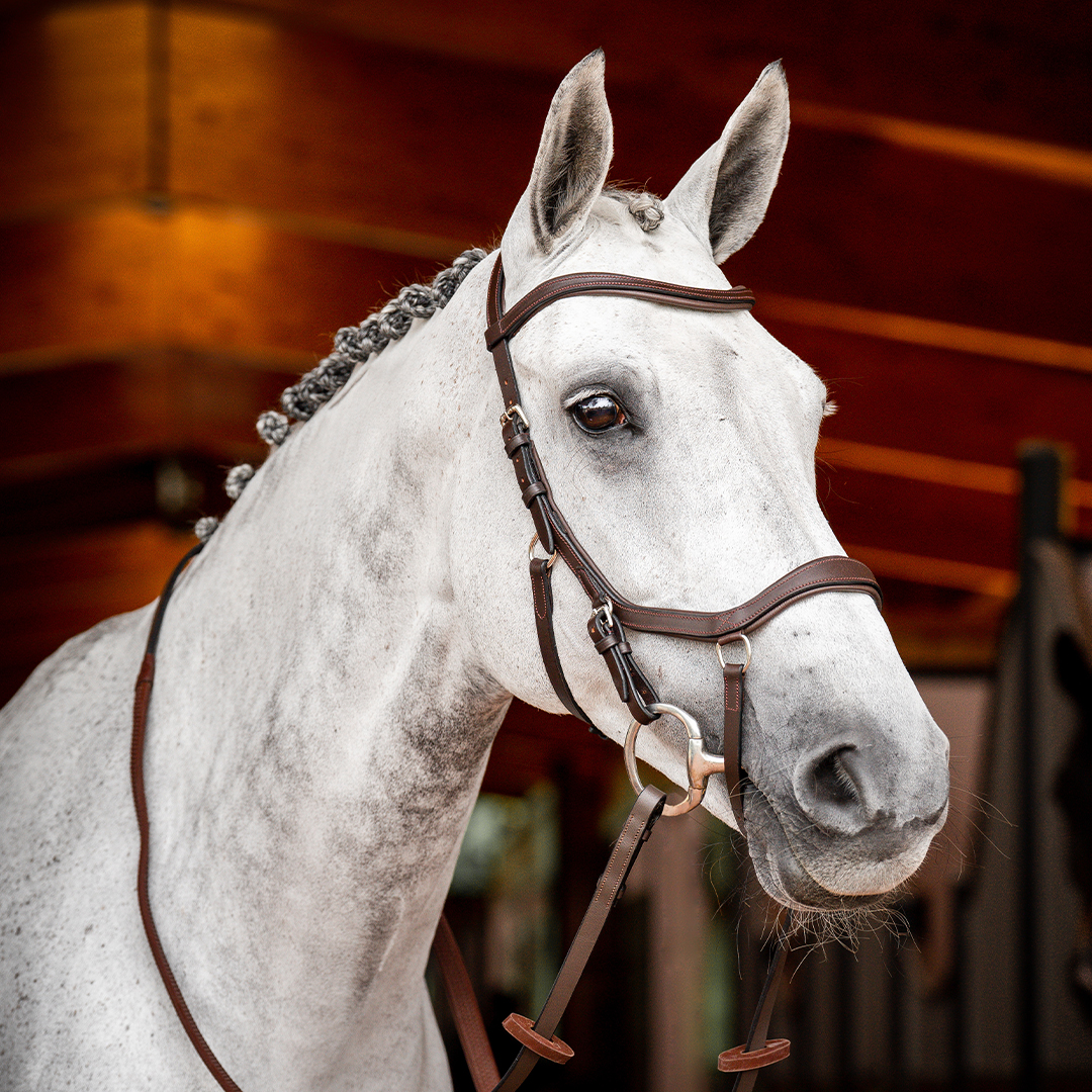 Поводья Rambo Micklem Competition Reins коричневый