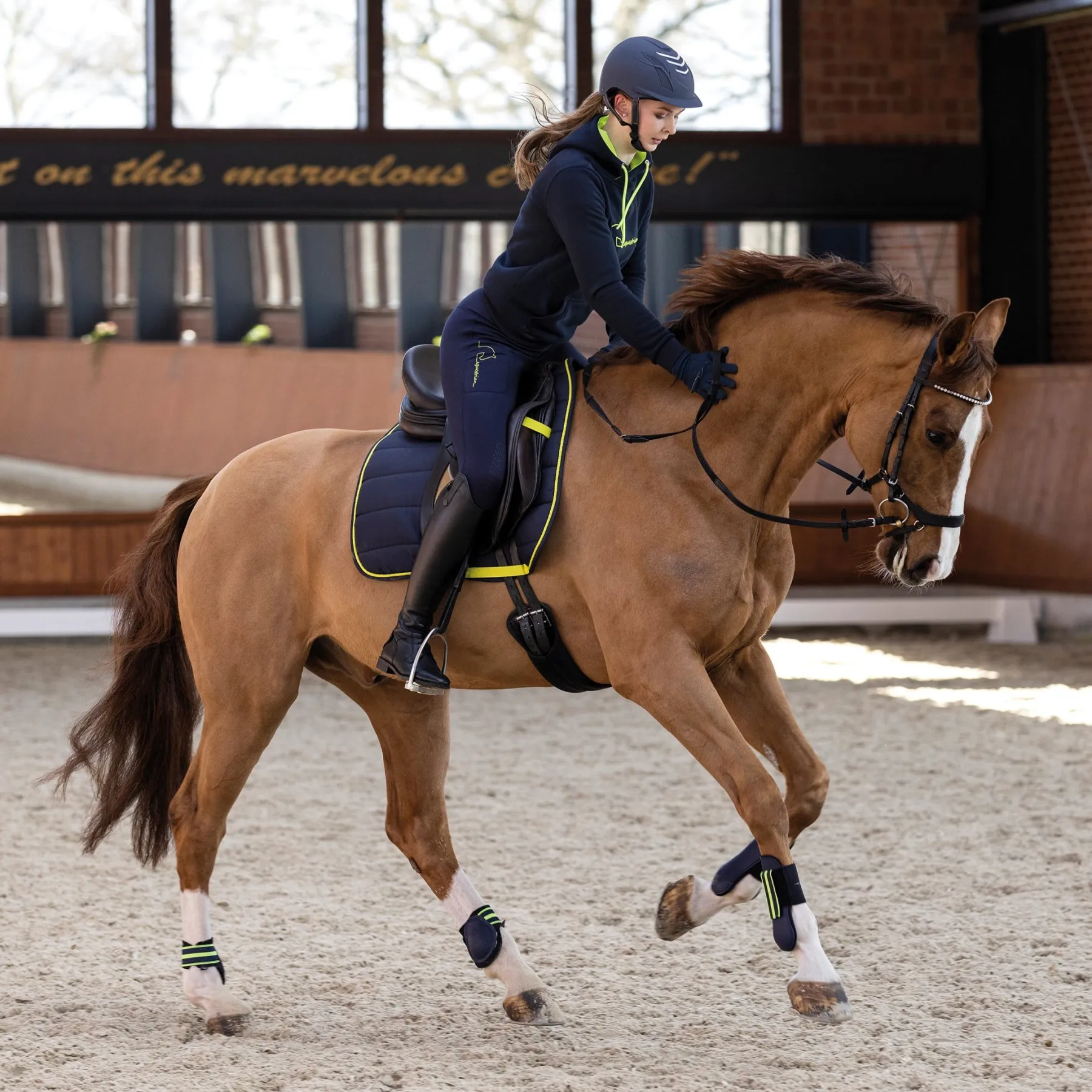 Леггинсы для верховой езды HKM