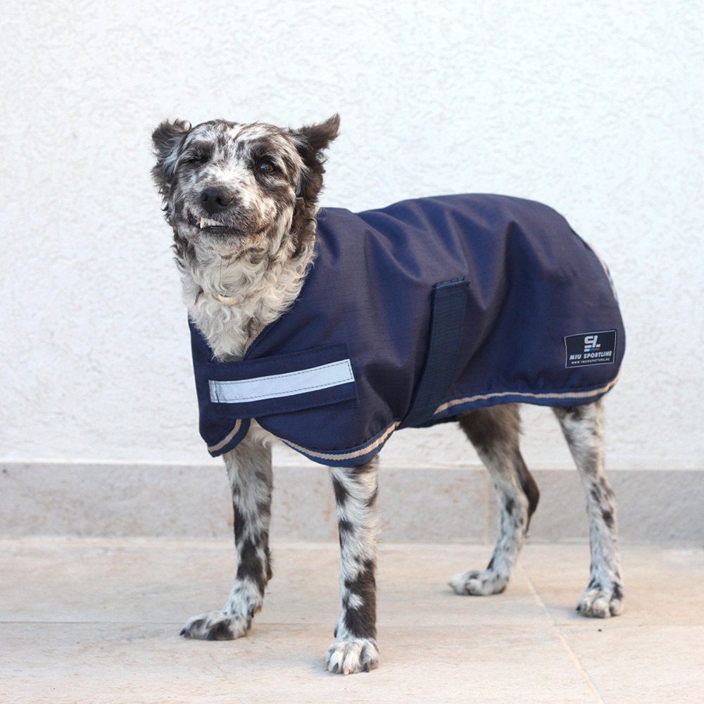 Попона для собаки зимняя 300 гр синий