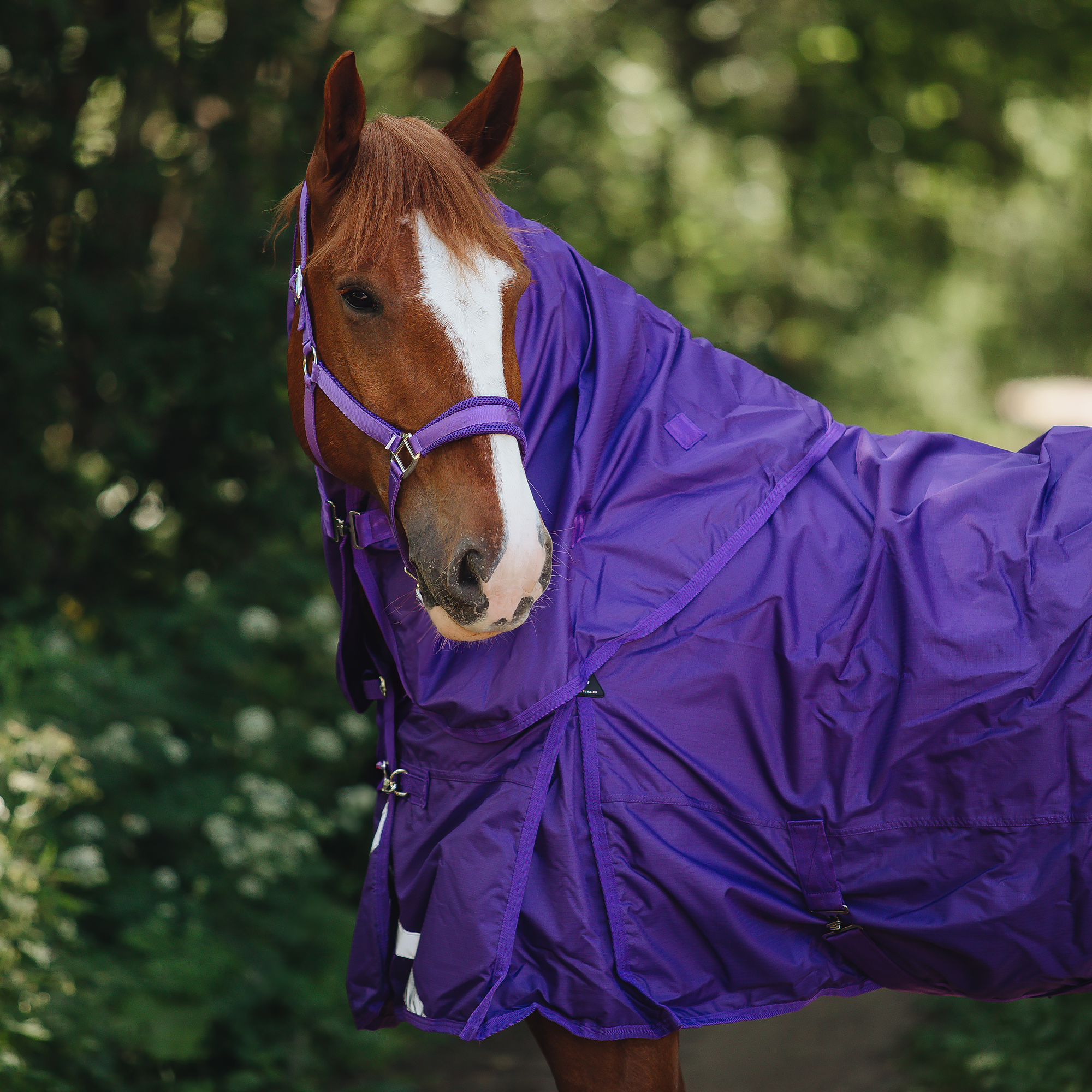 Попона прогулочная Ufa на нейлоновой подкладке с отстегивающимся капором