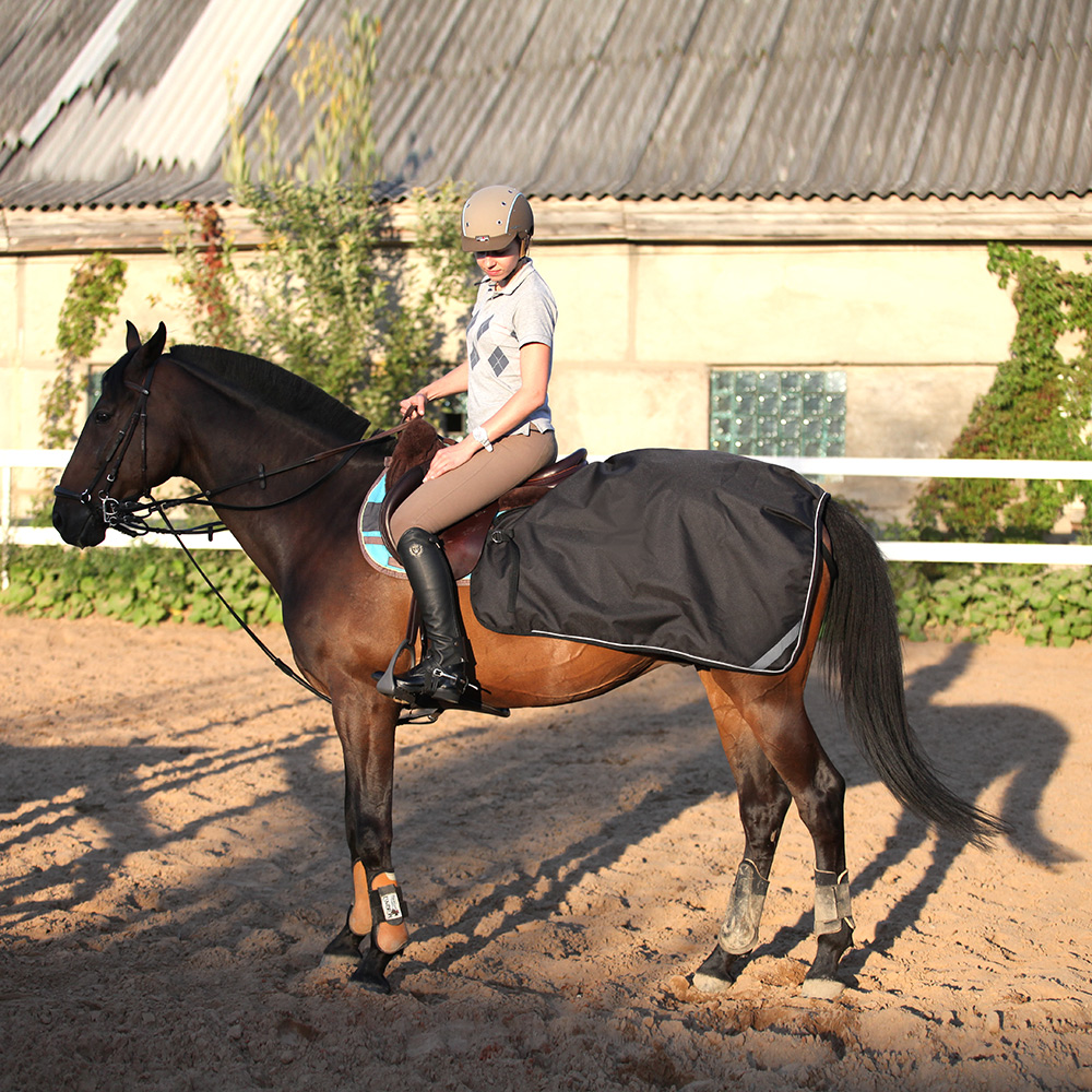 Полупопона RIDING на флисе чёрный