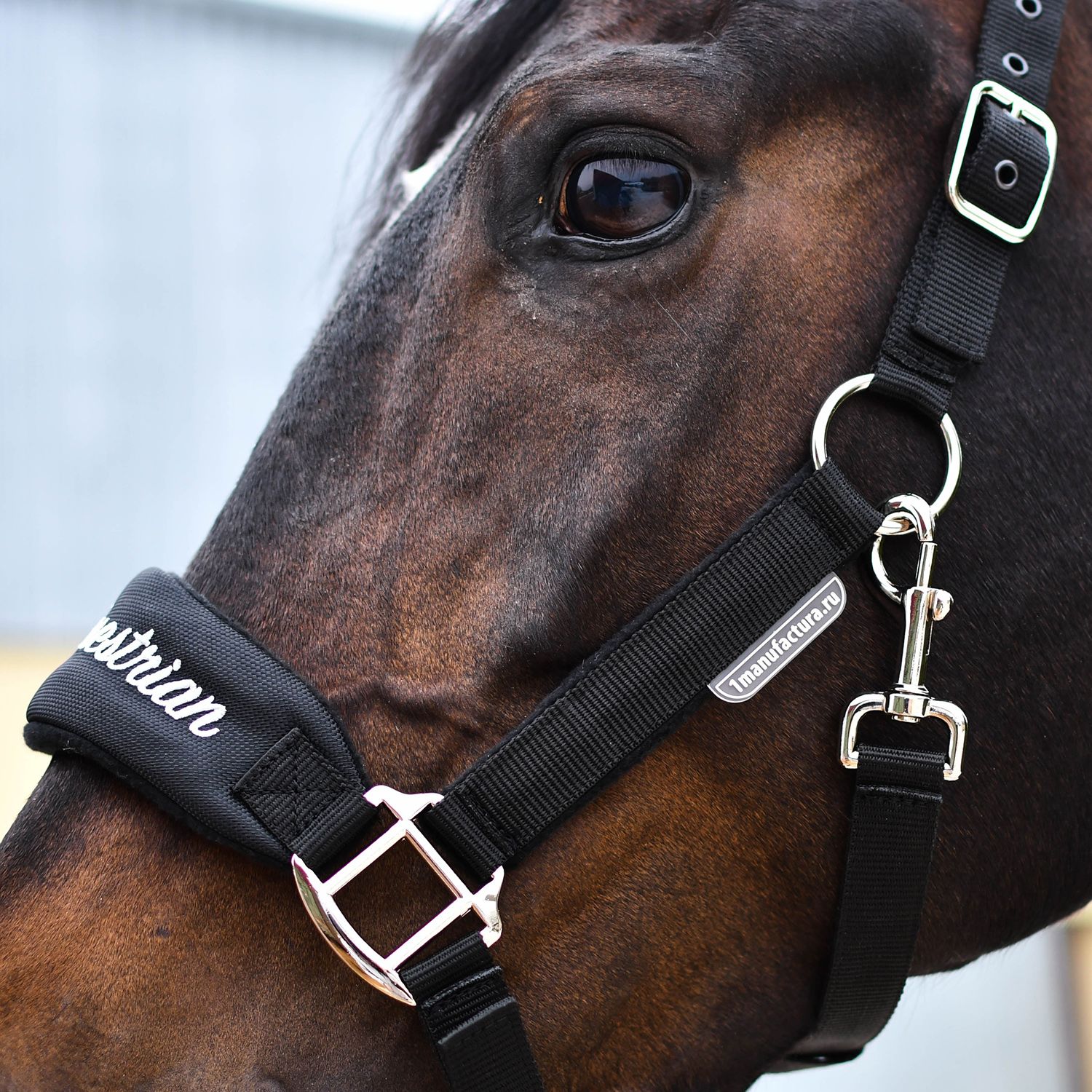 Недоуздок CARE чёрный