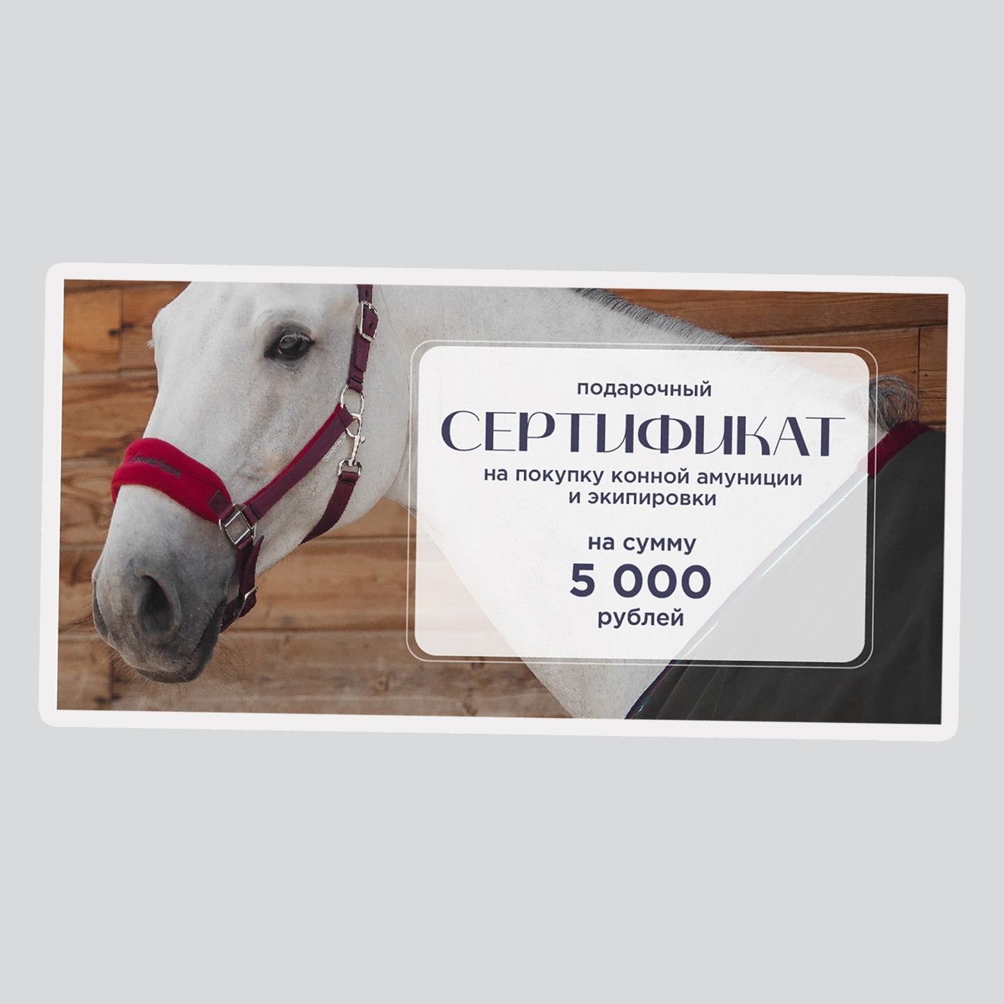 Подарочный сертификат на 5000 рублей