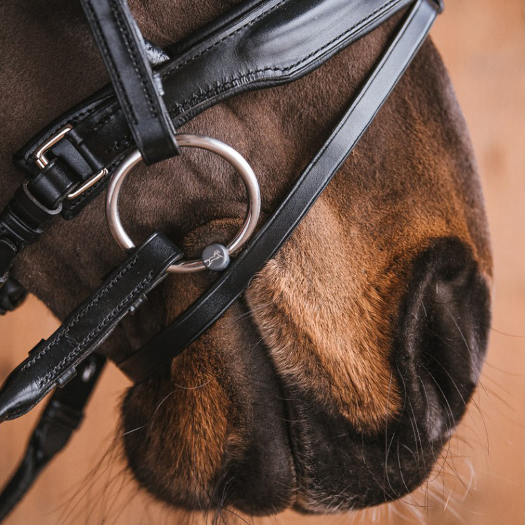 Трензель Fager Alice Titanium Bradoon Loose rings