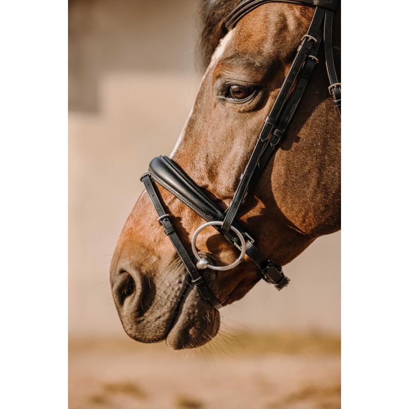 Оголовье трензельное Bat чёрный