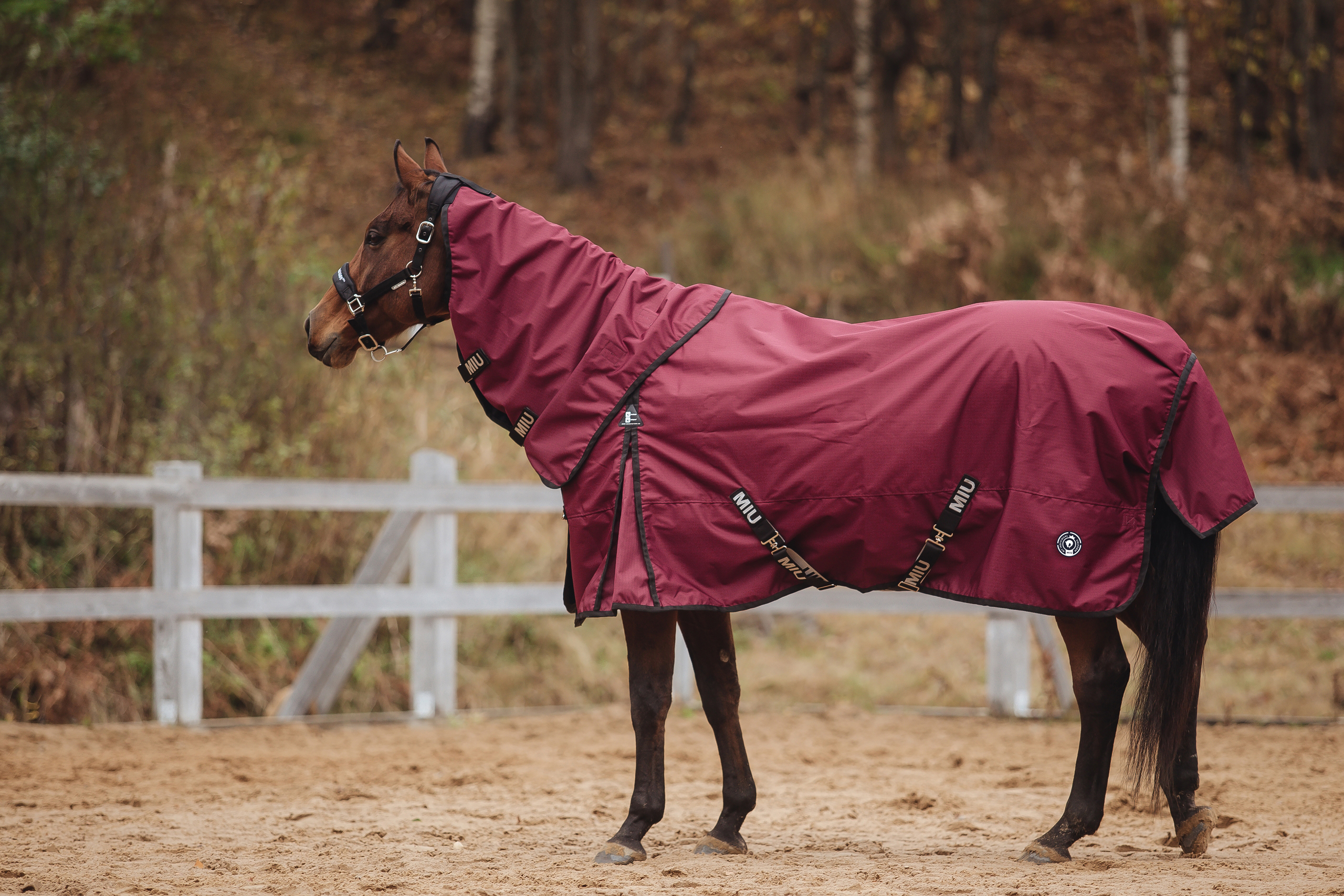 Попона прогулочная HONG KONG с капором бордо/кант чёрный