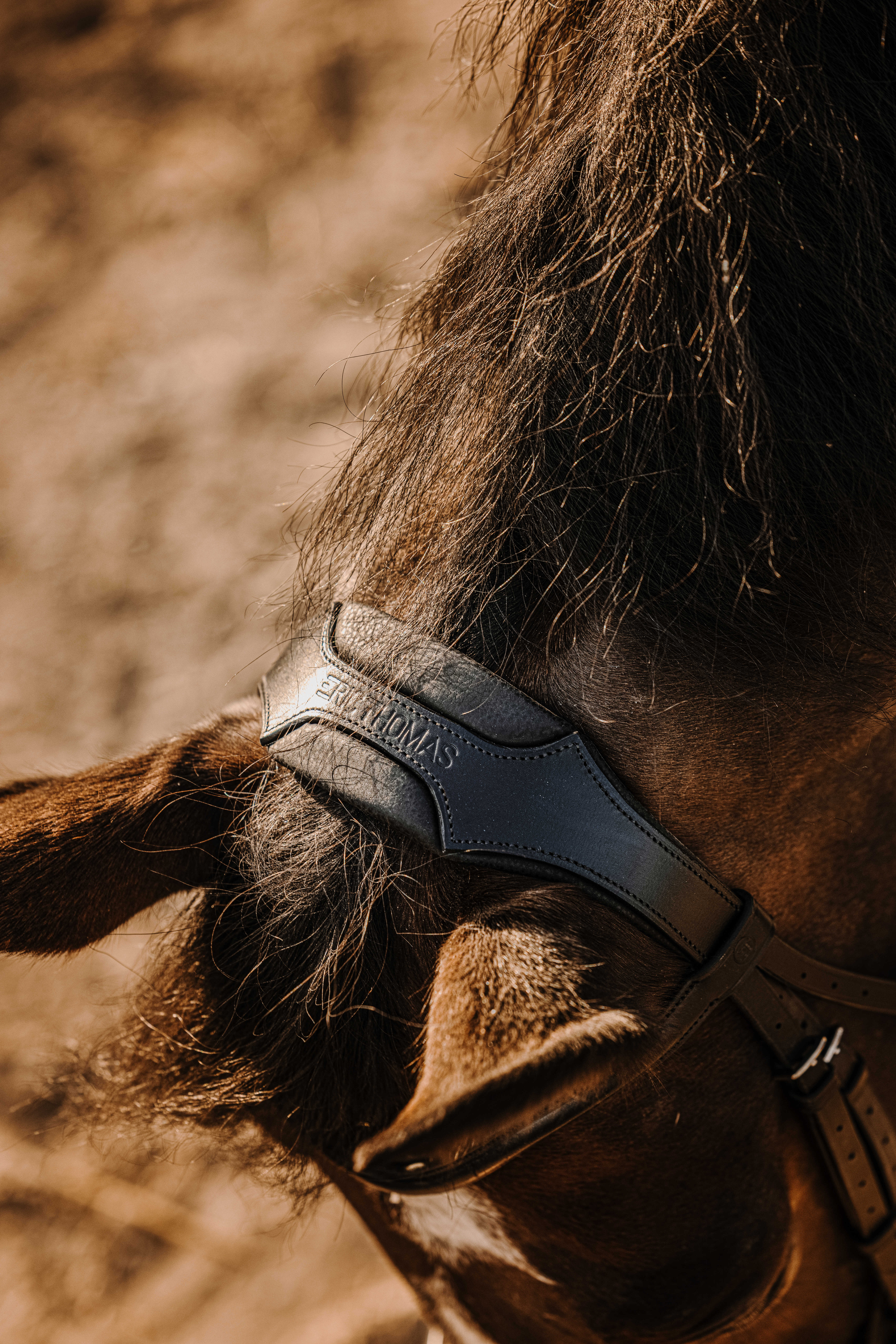 Оголовье трензельное Bat чёрный