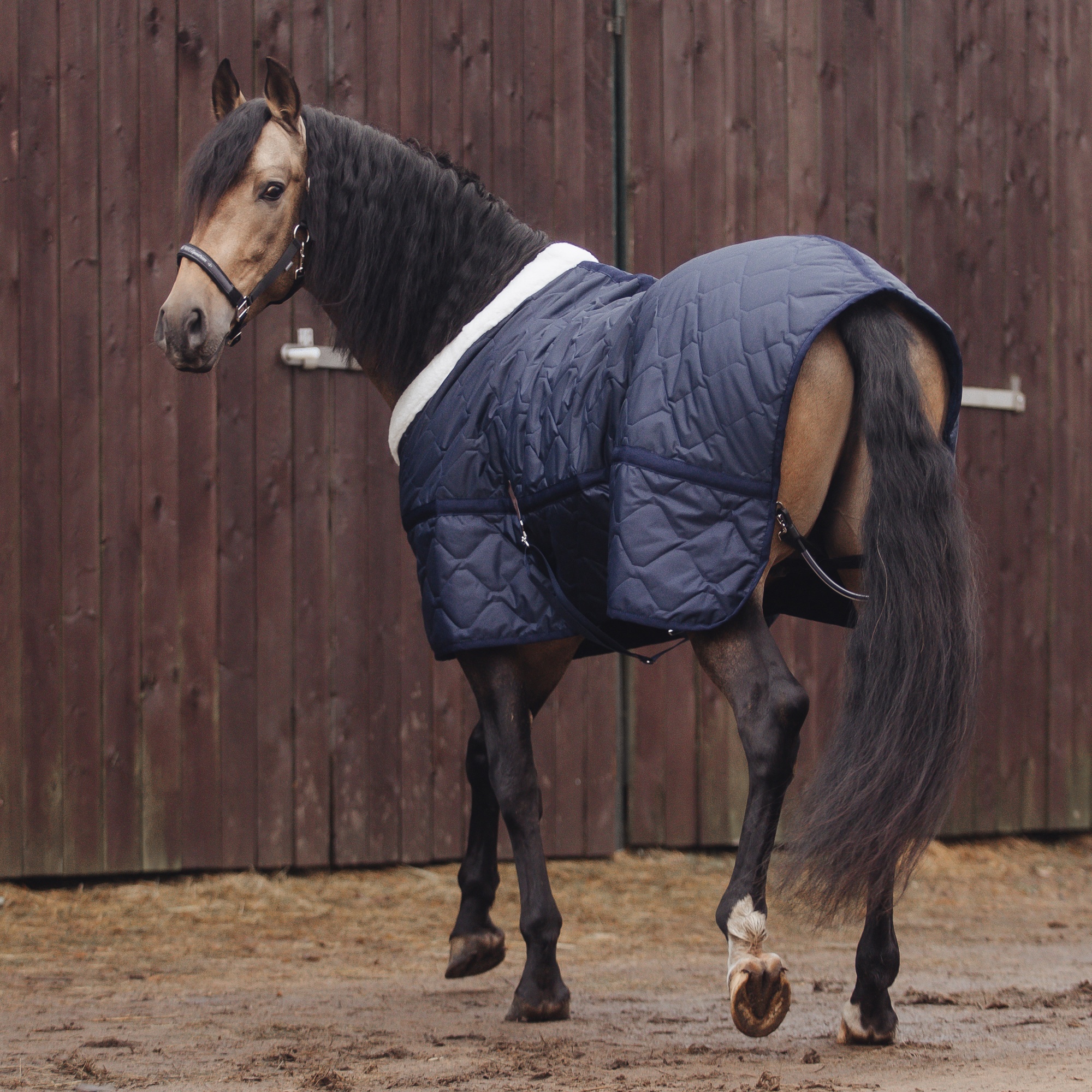 Попона денниковая LUXURY, 150 гр