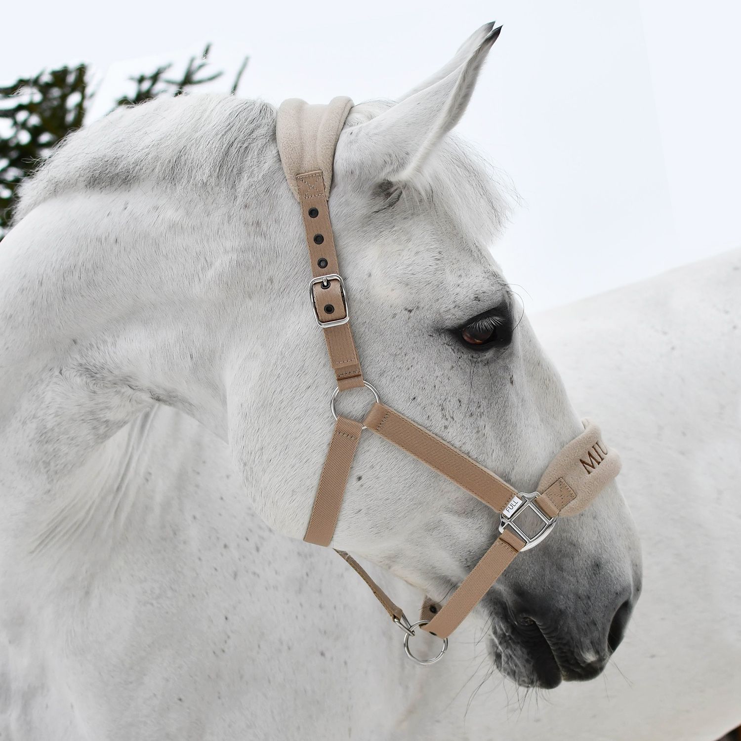 Недоуздок GENTLE HALTER бежевый