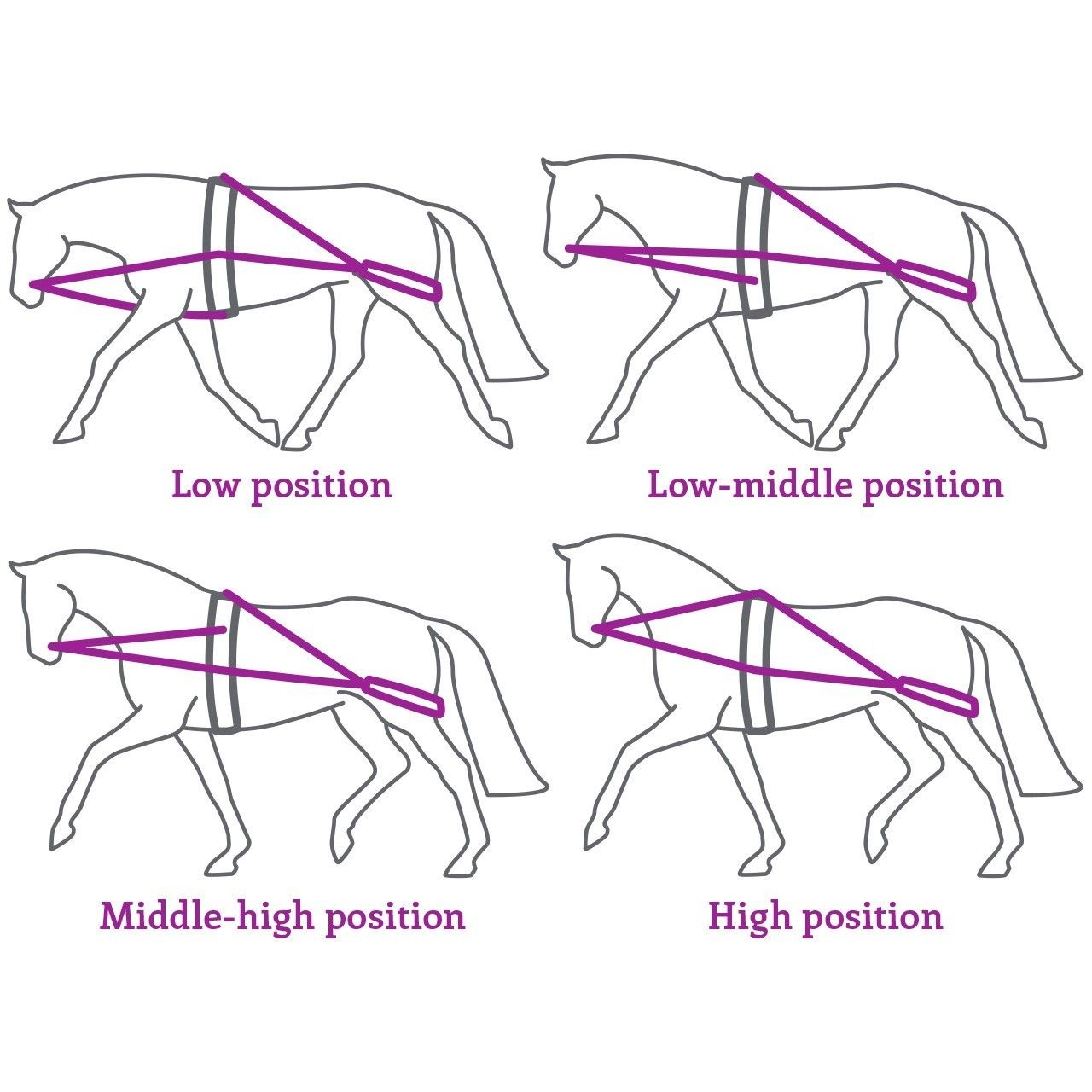 Шлея Пессоа для работы на корде