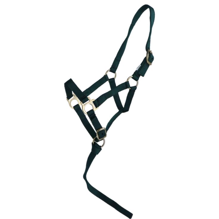 Недоуздок мини жеребенок тёмно-зелёный