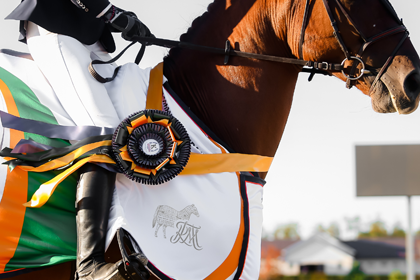 Наградные попоны