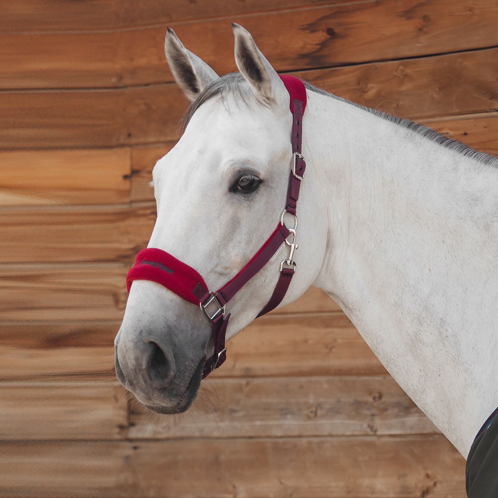 Недоуздок GENTLE HALTER бордо
