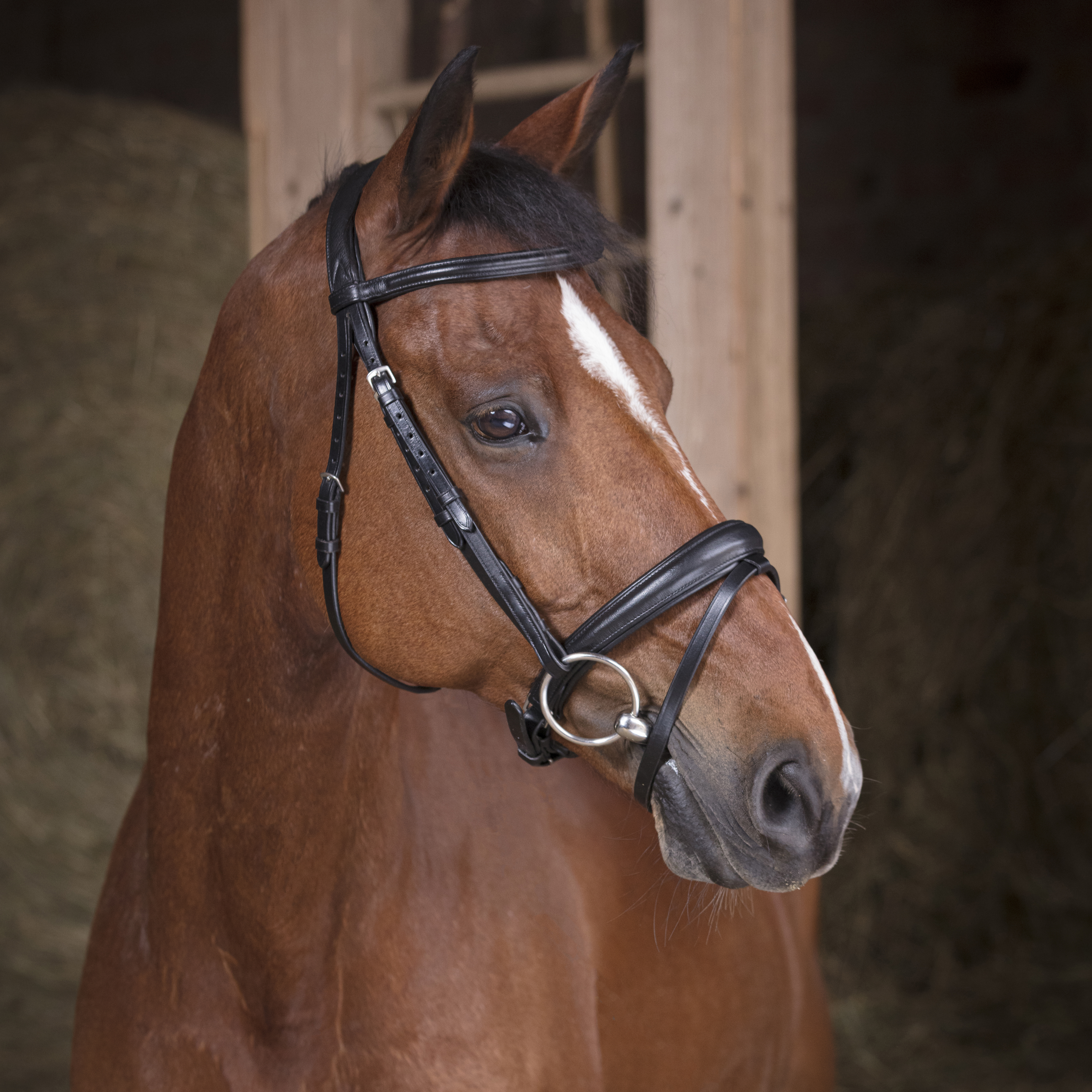 Оголовье трензельное Soft чёрный