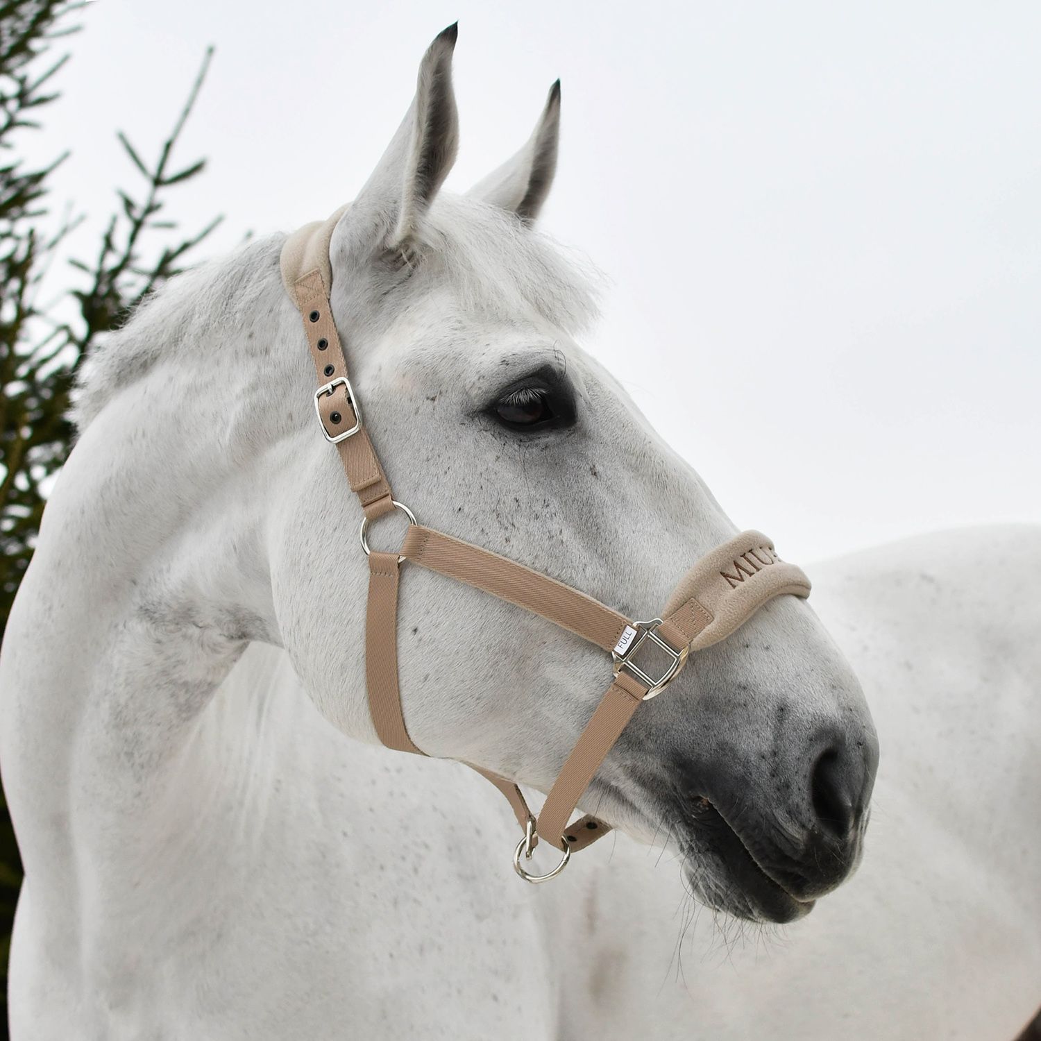 Недоуздок GENTLE HALTER бежевый