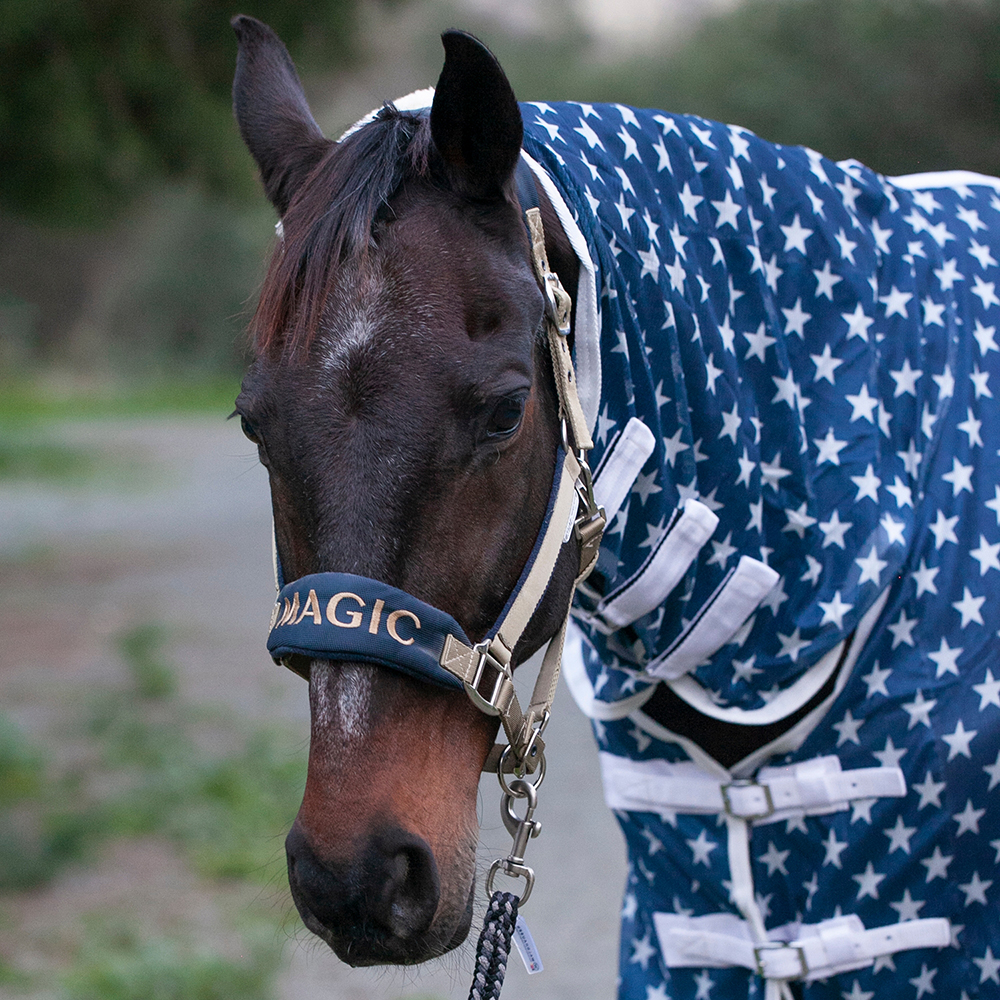 Попона антимоскитная с капором All stars