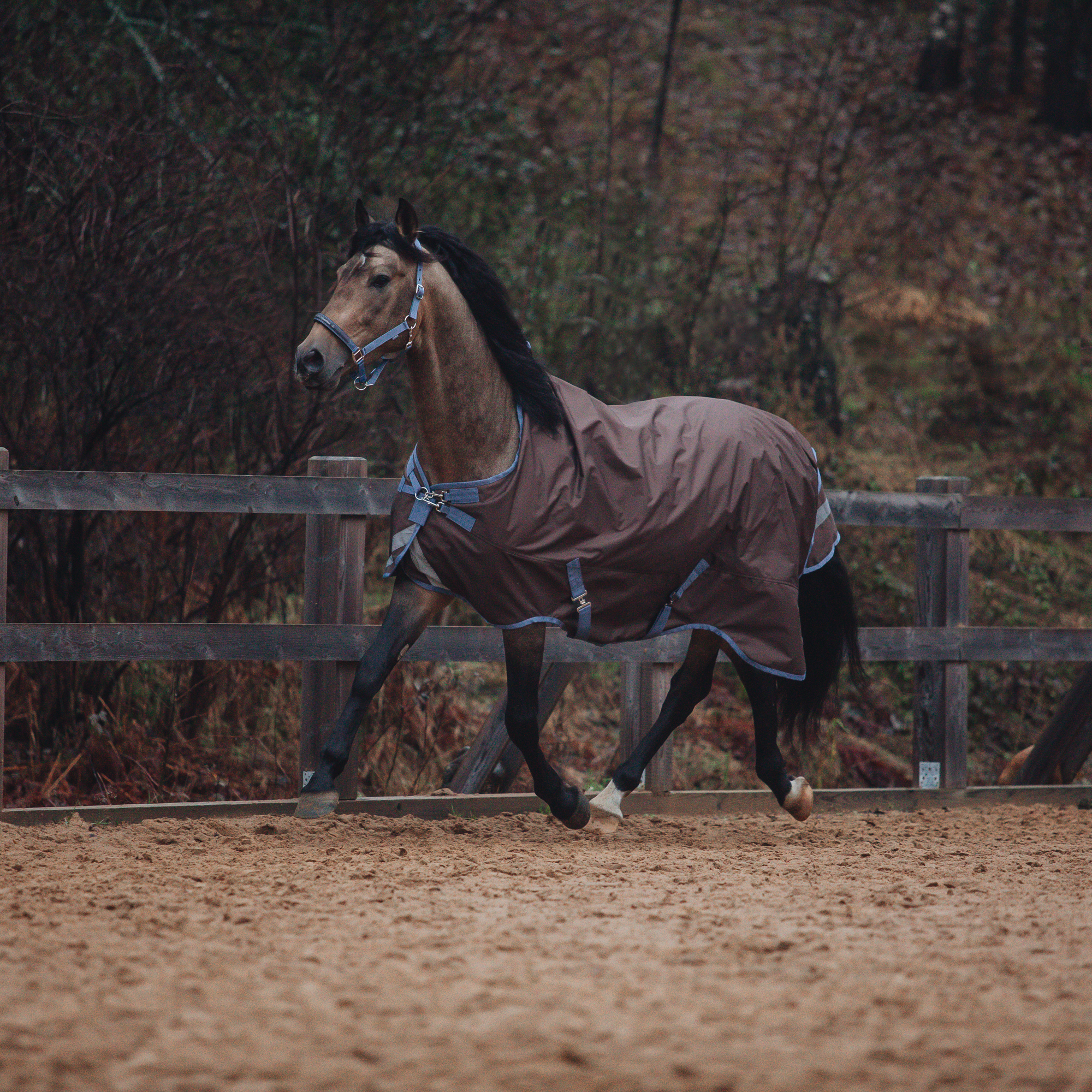 Попона прогулочная DENVER на флисе с высокой холкой коричневый (155, 366972-70-155)