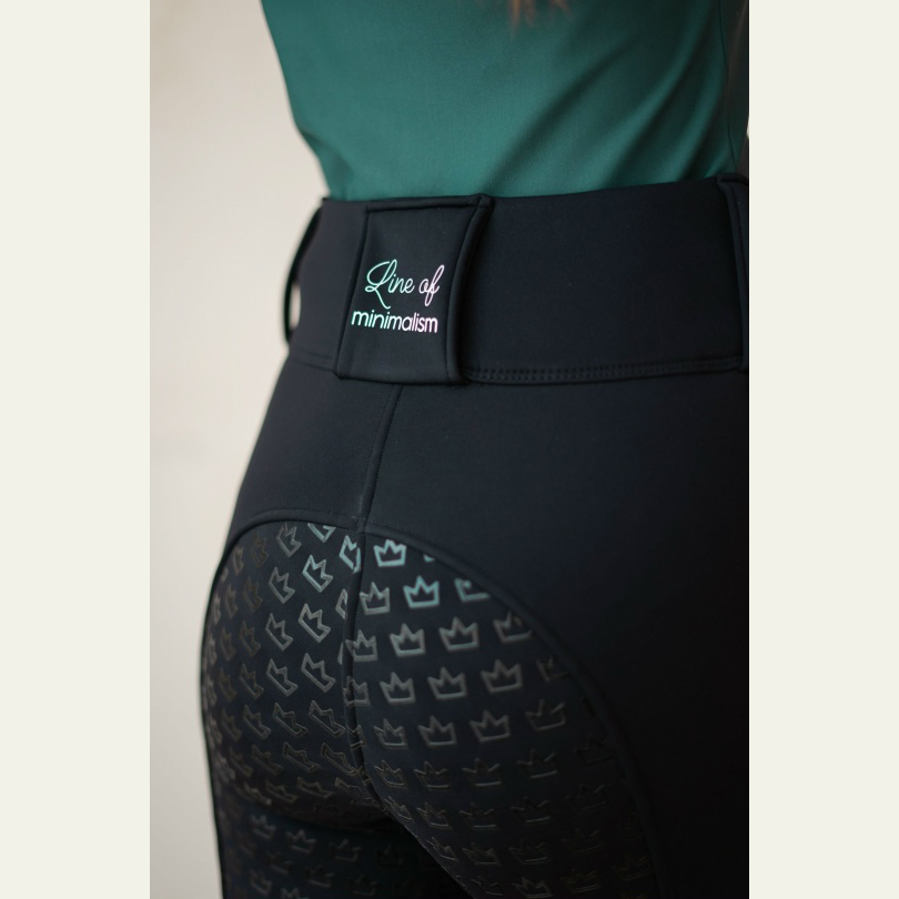 Брегинсы утеплённые с высокой талией чёрный