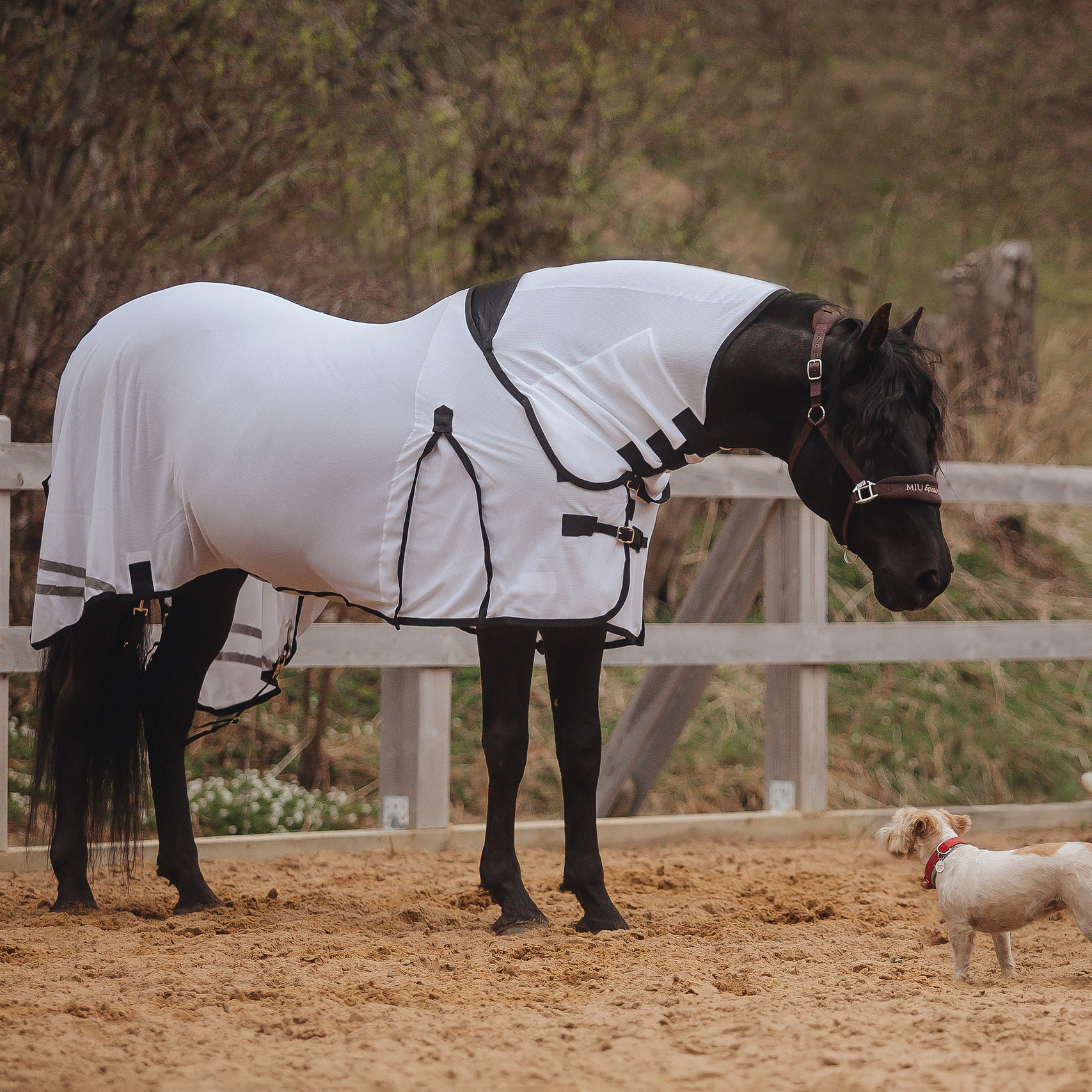 Попона антимоскитная WHITE NIGHTS с подпузником и капором белый