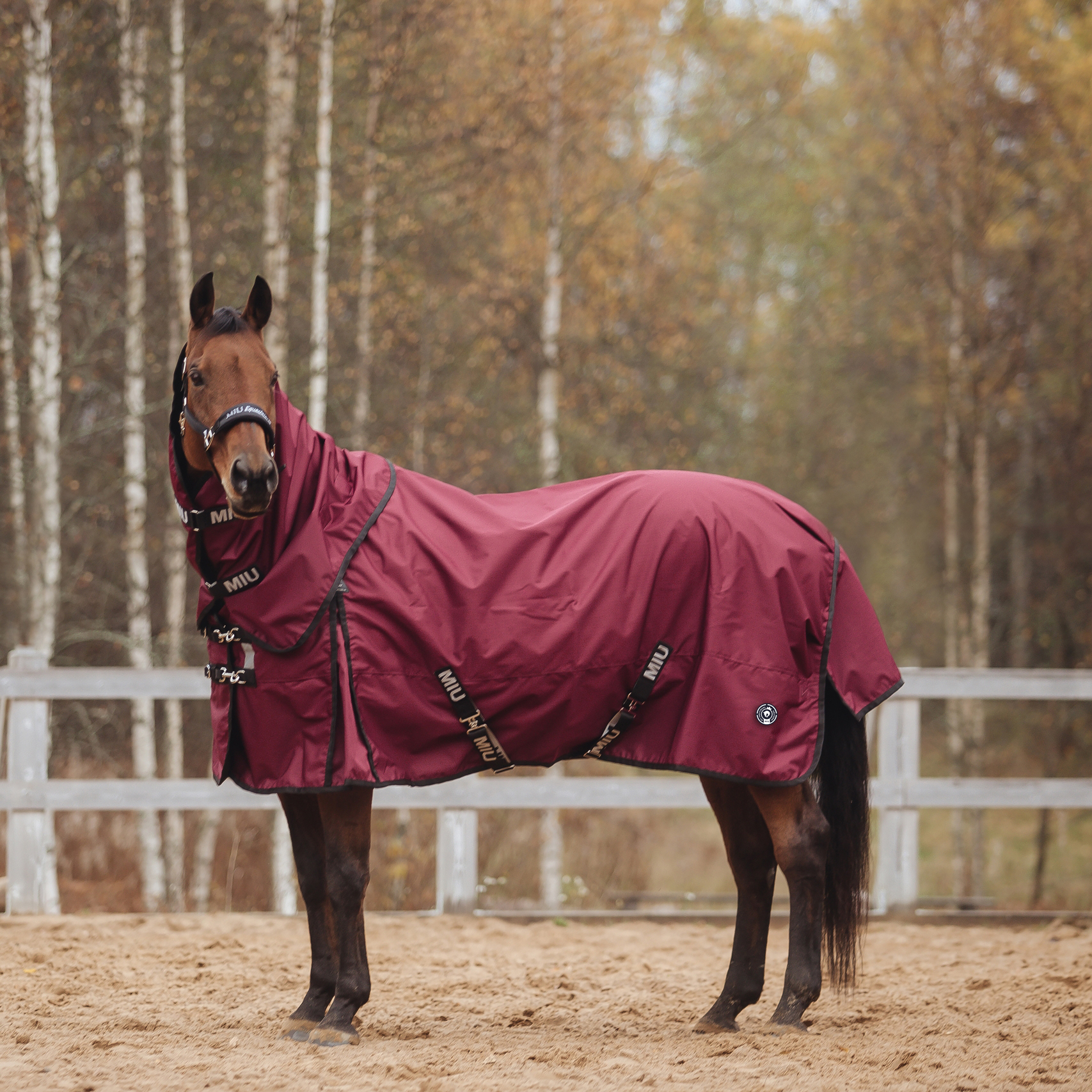 Попона прогулочная HONG KONG с капором бордо/кант чёрный