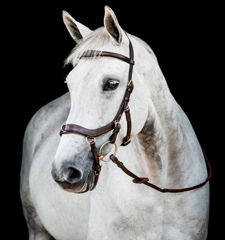 Уздечка анатомическая Micklem 2 Multi Bridle коричневый Первая Конная Мануфактура