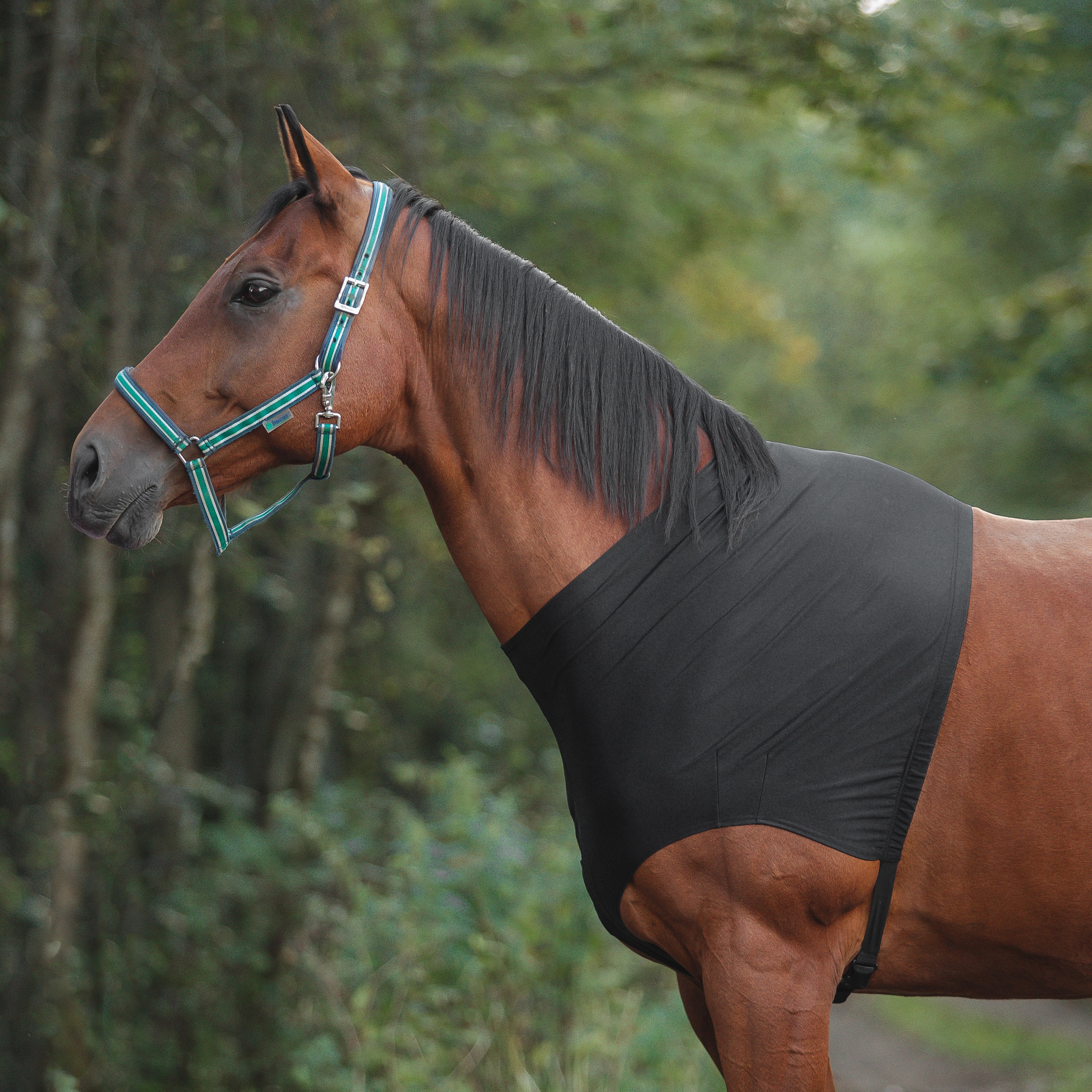 Наплечник эластичный MIU Equestrian Chest liner