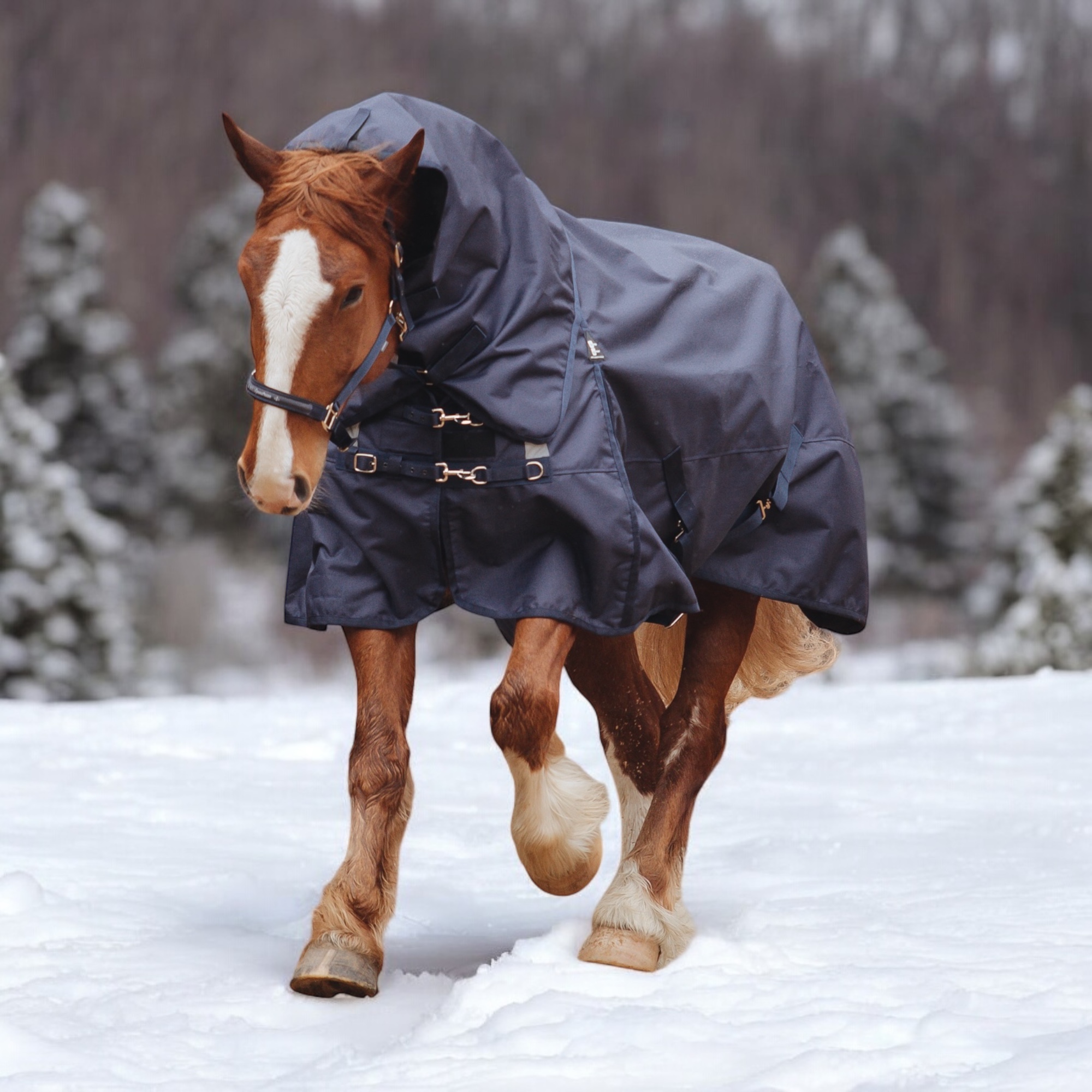 Попона прогулочная X-Strong 300 синий