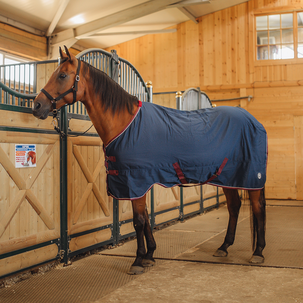 Попона денниковая FLEECE-LINED на флисе синий/бордо