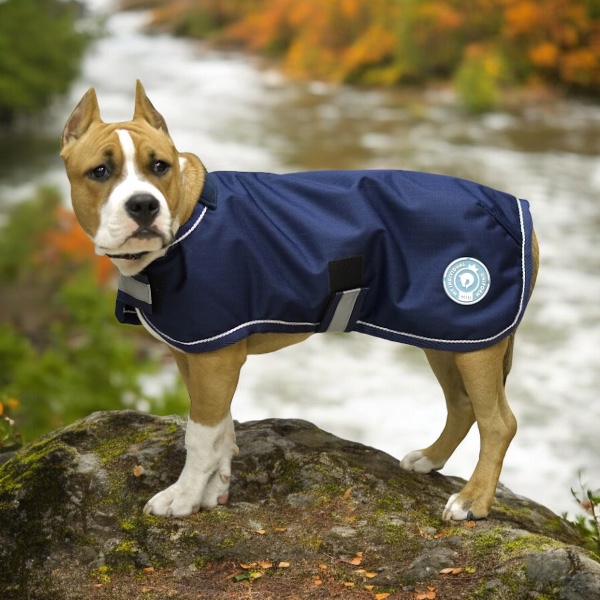 Попона для собаки Big на флисе синий