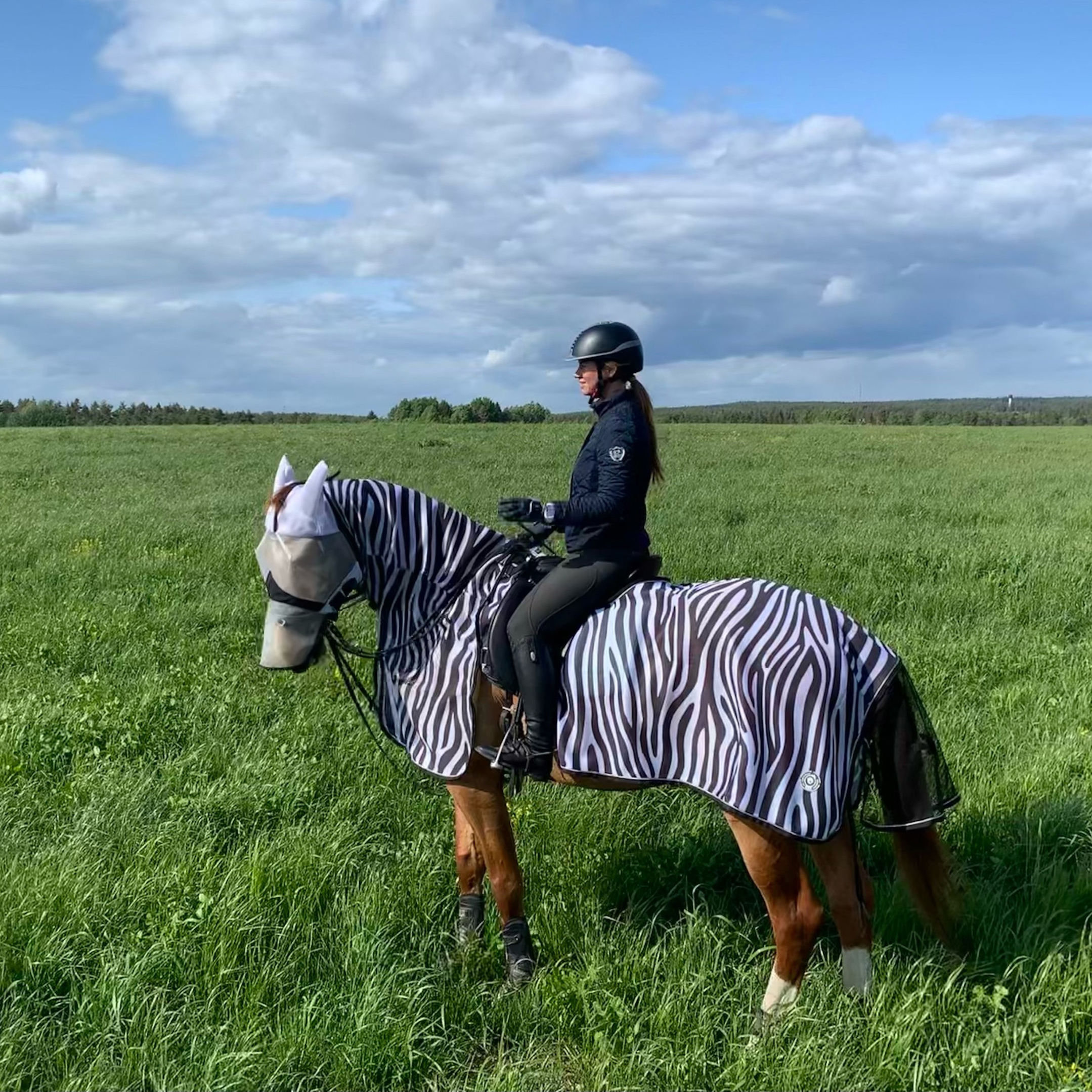 Полупопона антимоскитная EQUUS ZEBRA с капором