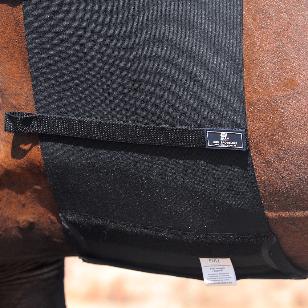 Как легко решить проблему потёртостей на боках лошади от шпор