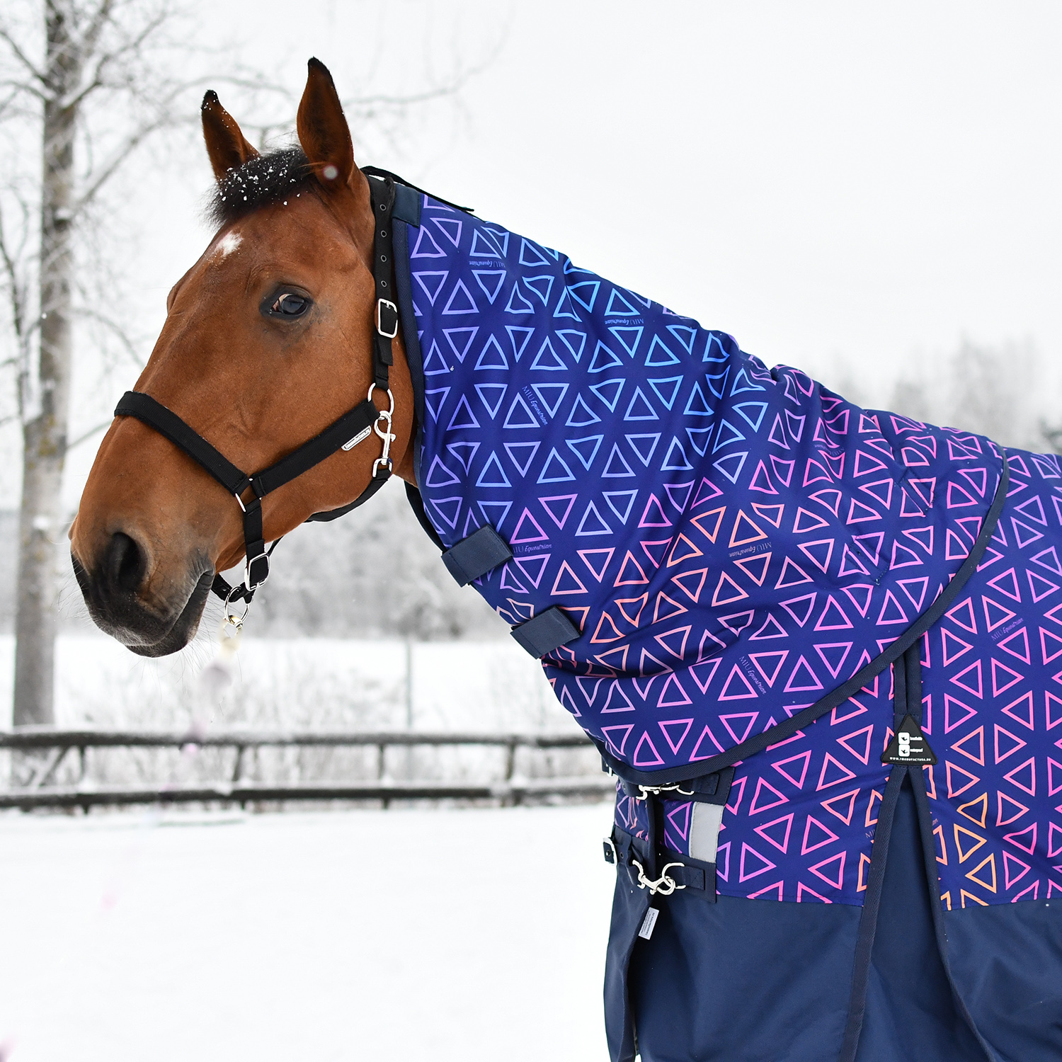 Попона прогулочная OKINAWA  с капором, 300 гр