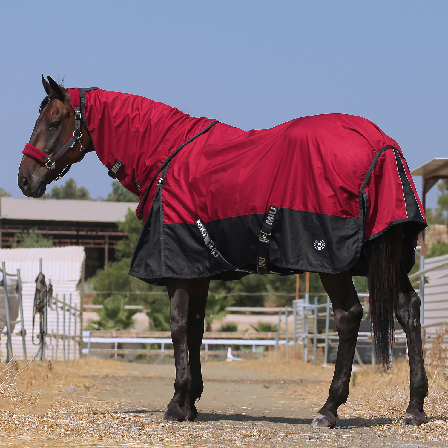 Попона прогулочная BERGEN на флисе со съёмным капором бордо/чёрный