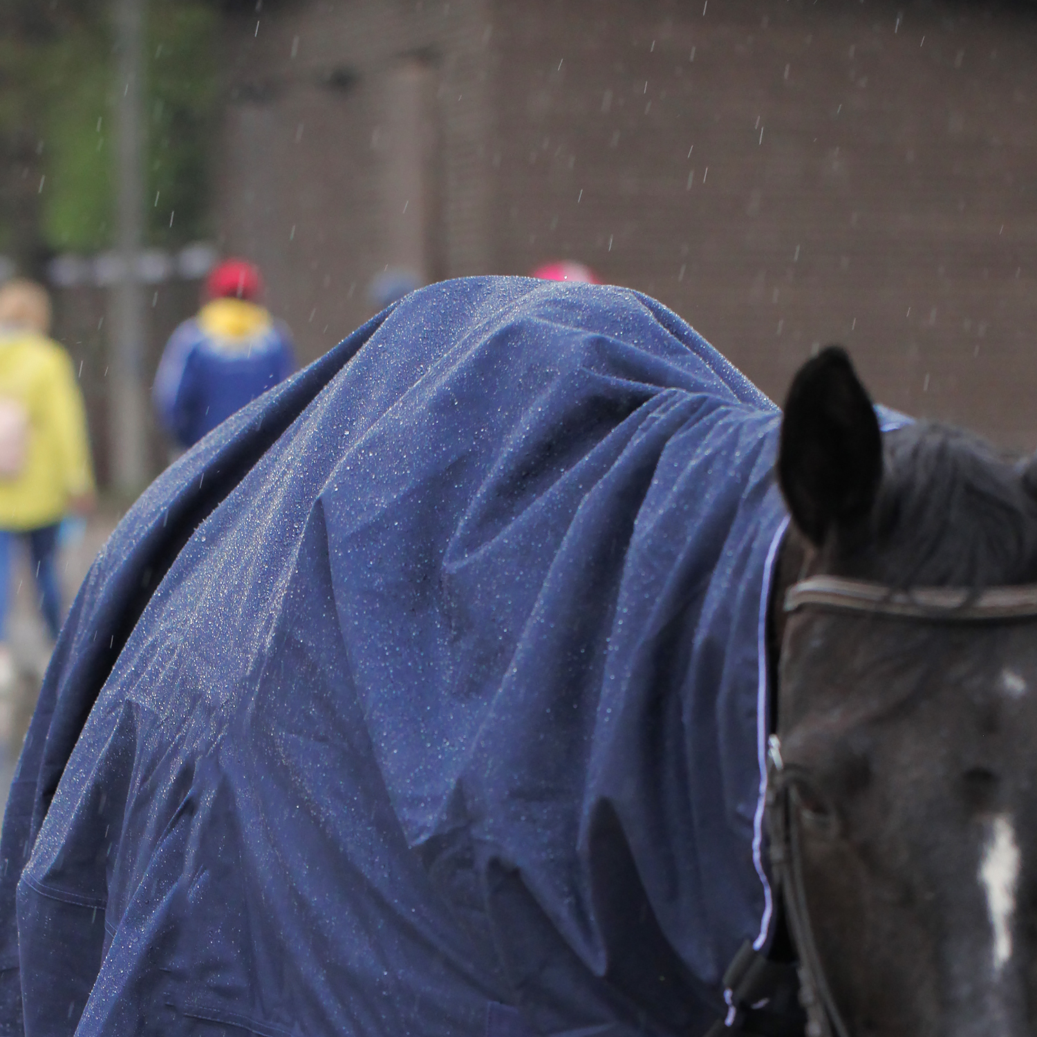 Попона-плащик RAINCOAT с вырезами под стремена